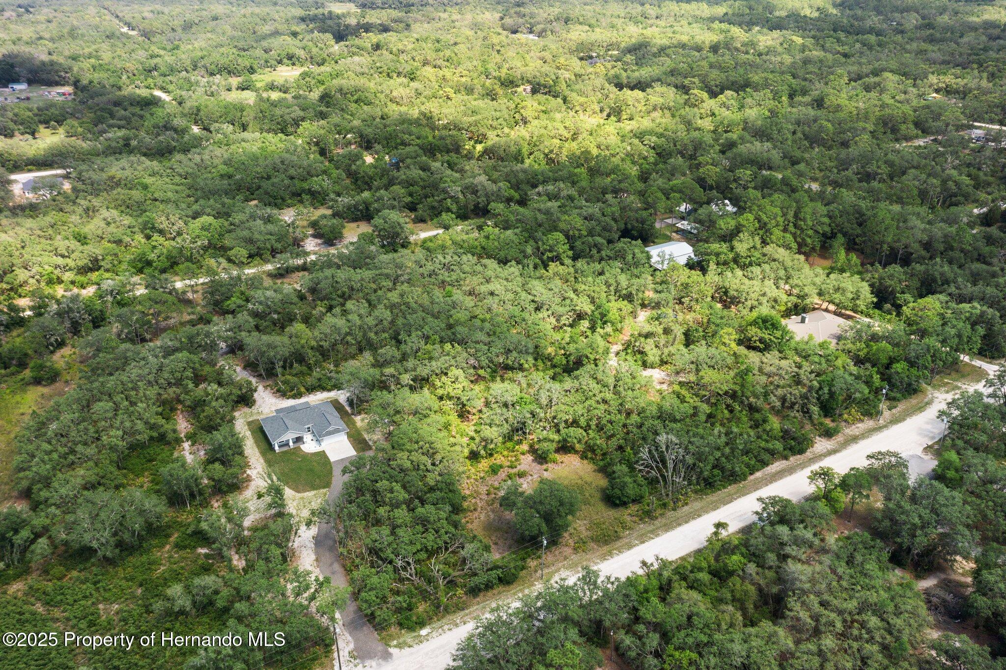 8184 Chimney Rock Drive, Webster, Florida image 8