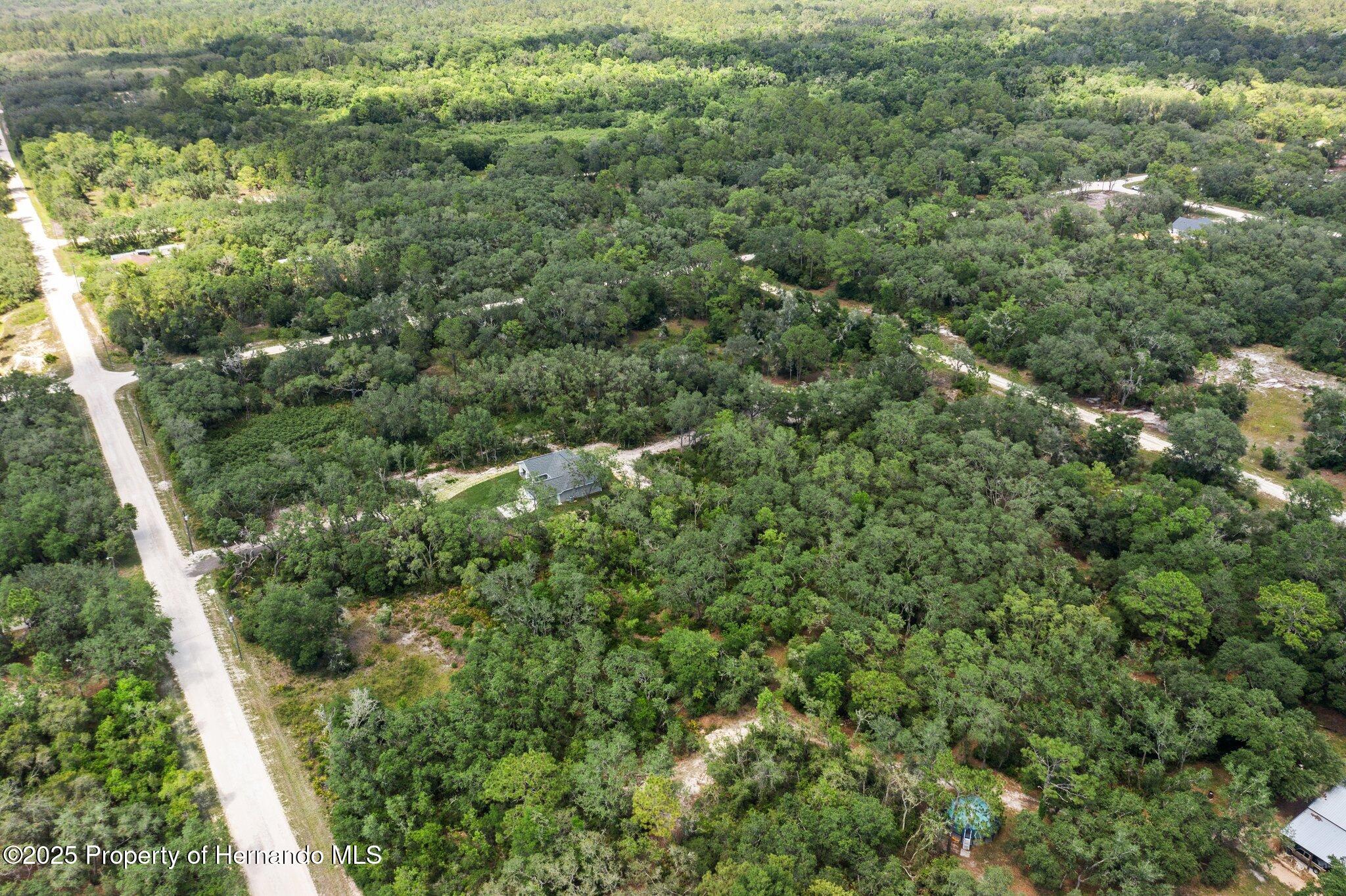 8184 Chimney Rock Drive, Webster, Florida image 14