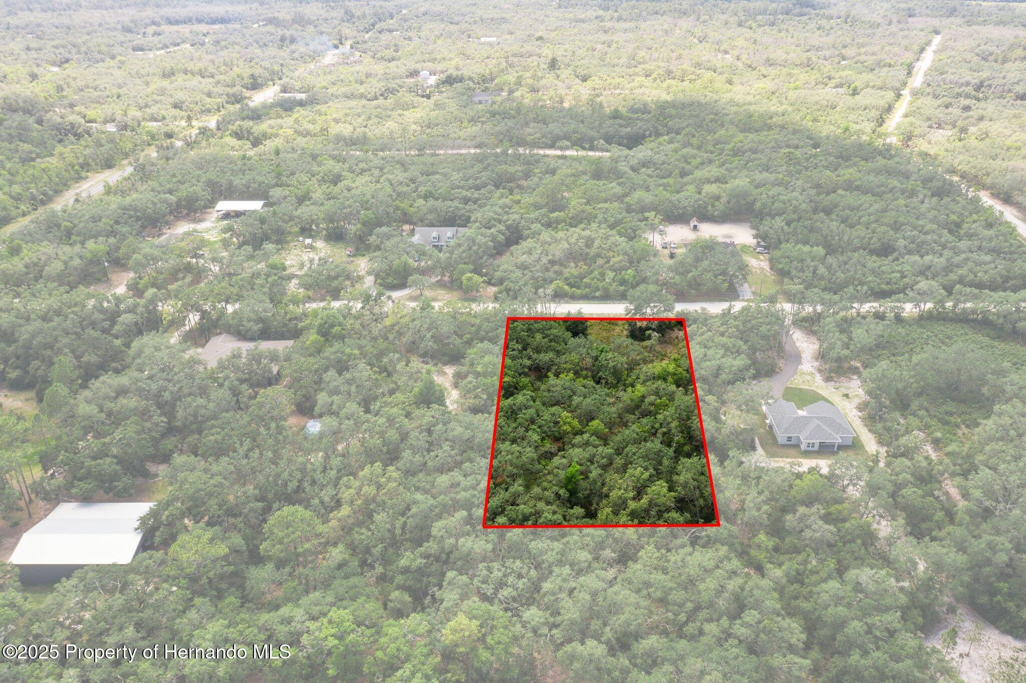 8184 Chimney Rock Drive, Webster, Florida image 4