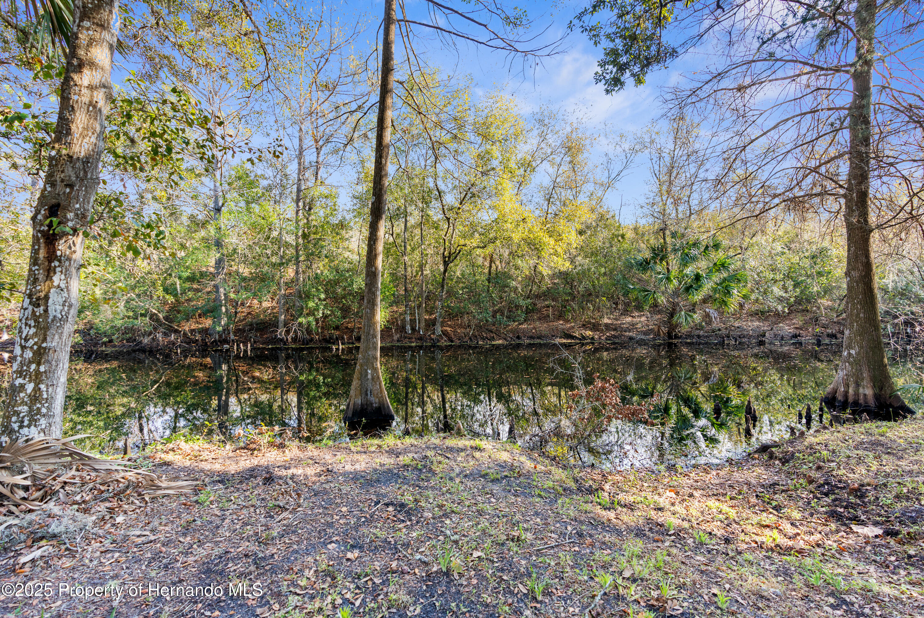 11750 E Cardinal Place, Floral City, Florida image 14