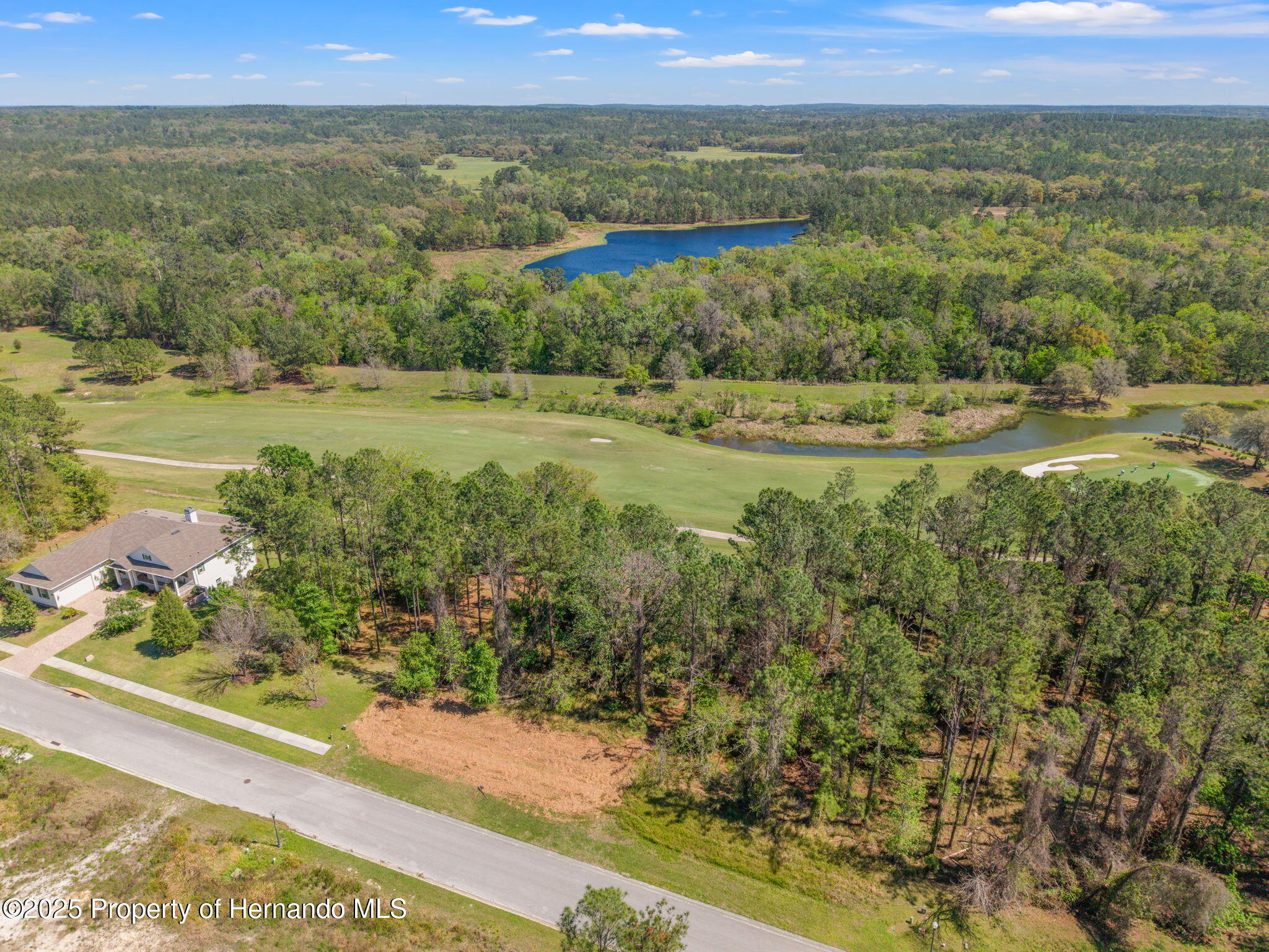 English Walnut Place, Brooksville, Florida image 7