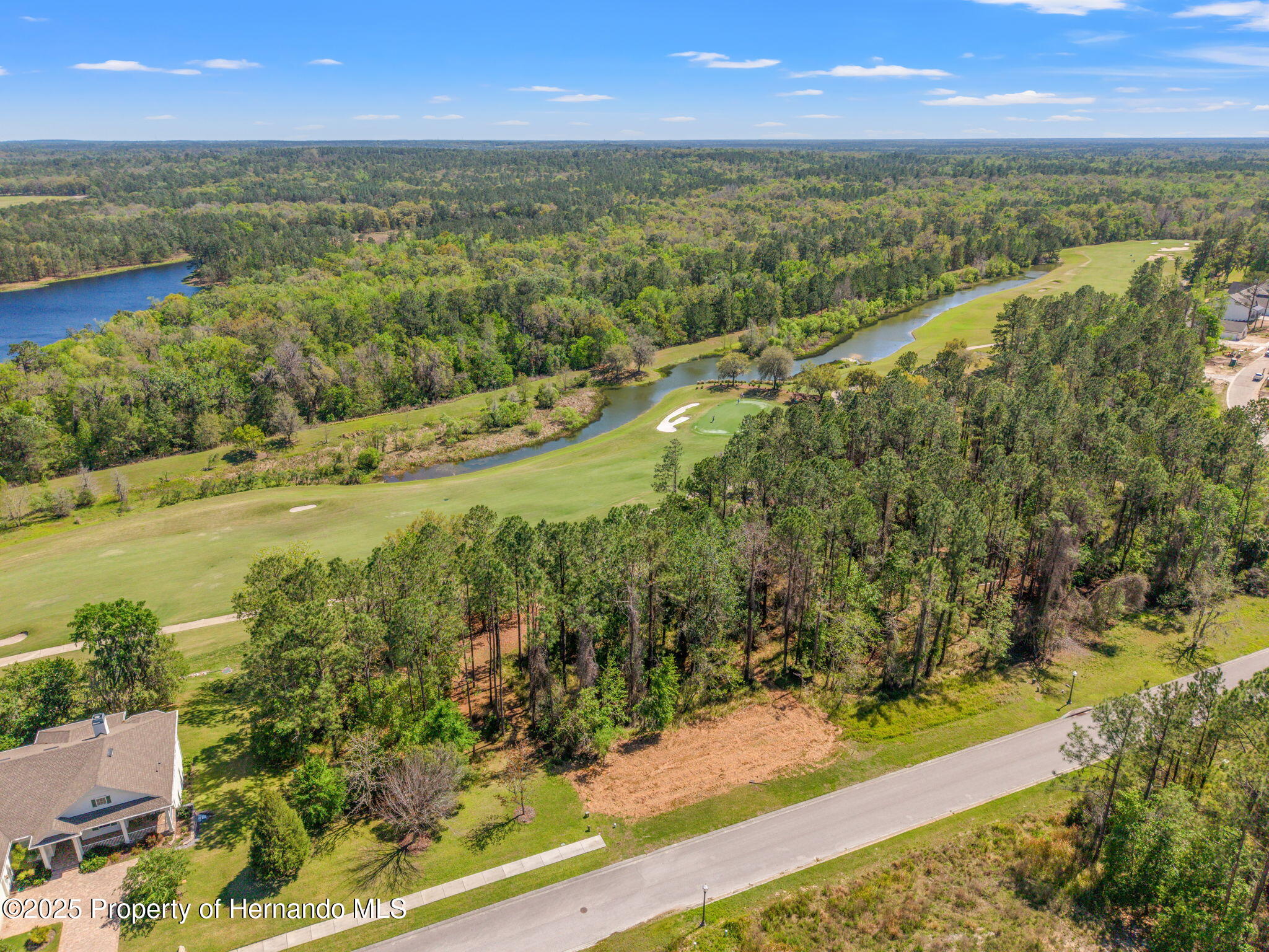 English Walnut Place, Brooksville, Florida image 3