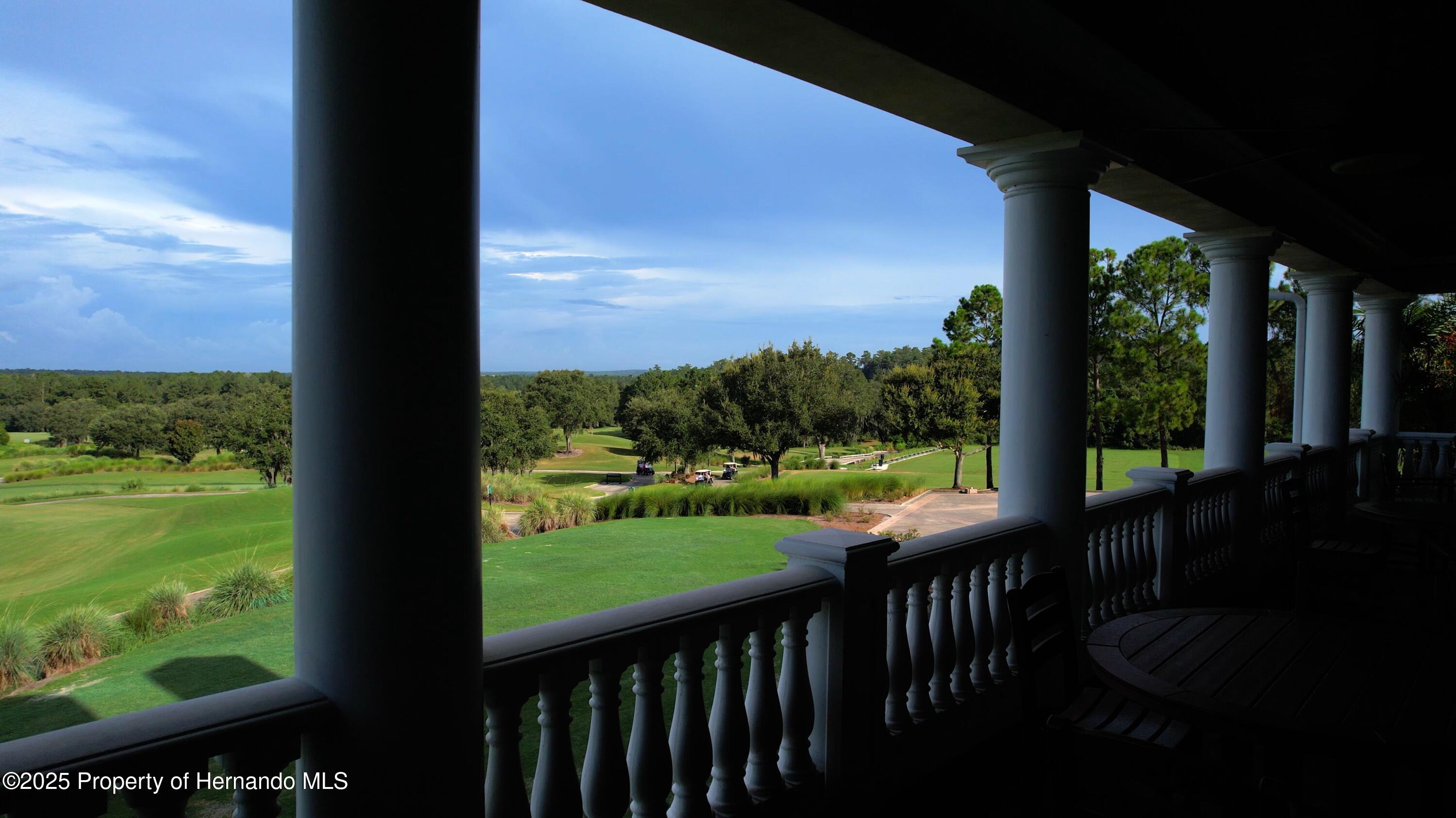 English Walnut Place, Brooksville, Florida image 15