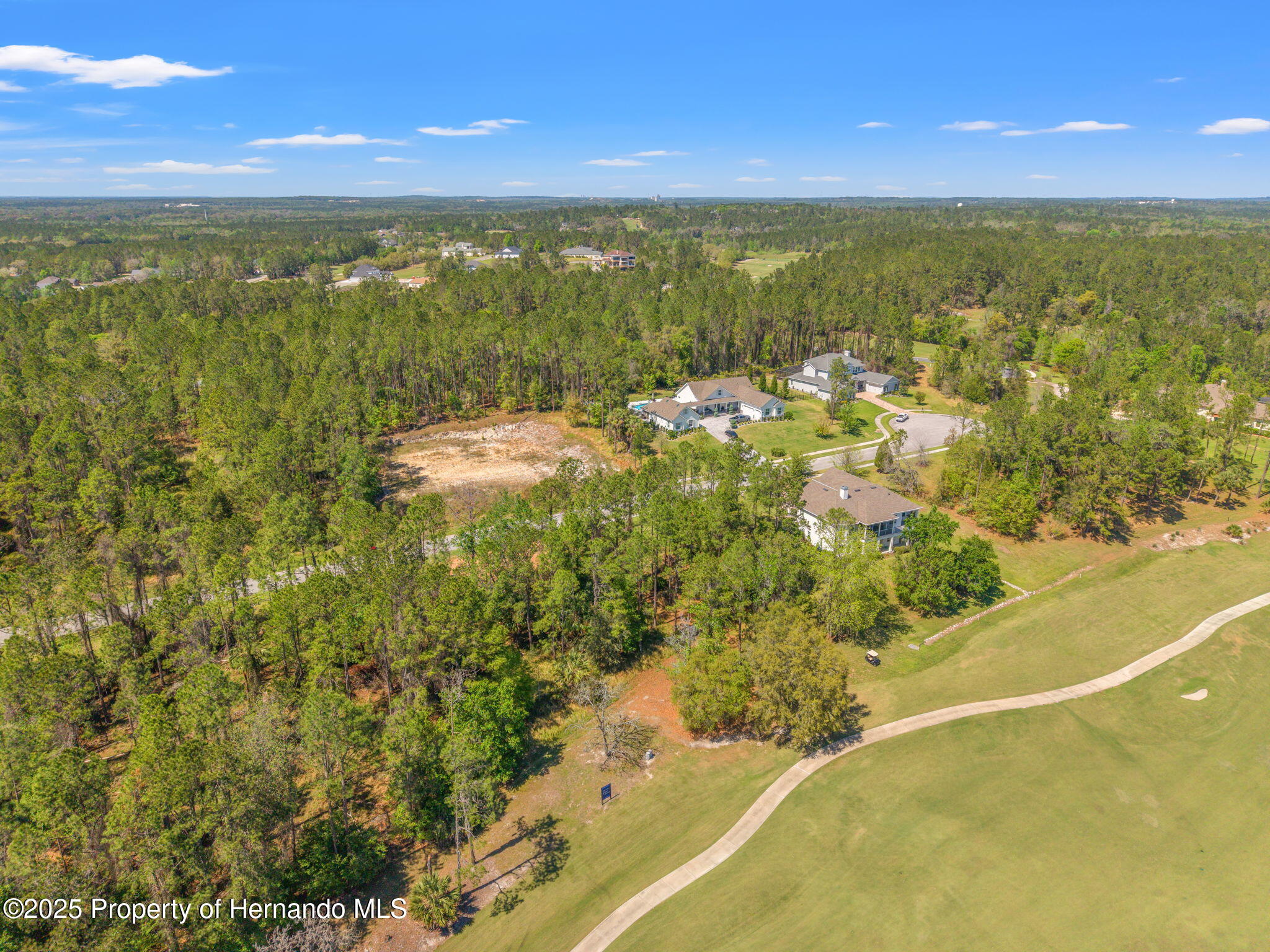 English Walnut Place, Brooksville, Florida image 6