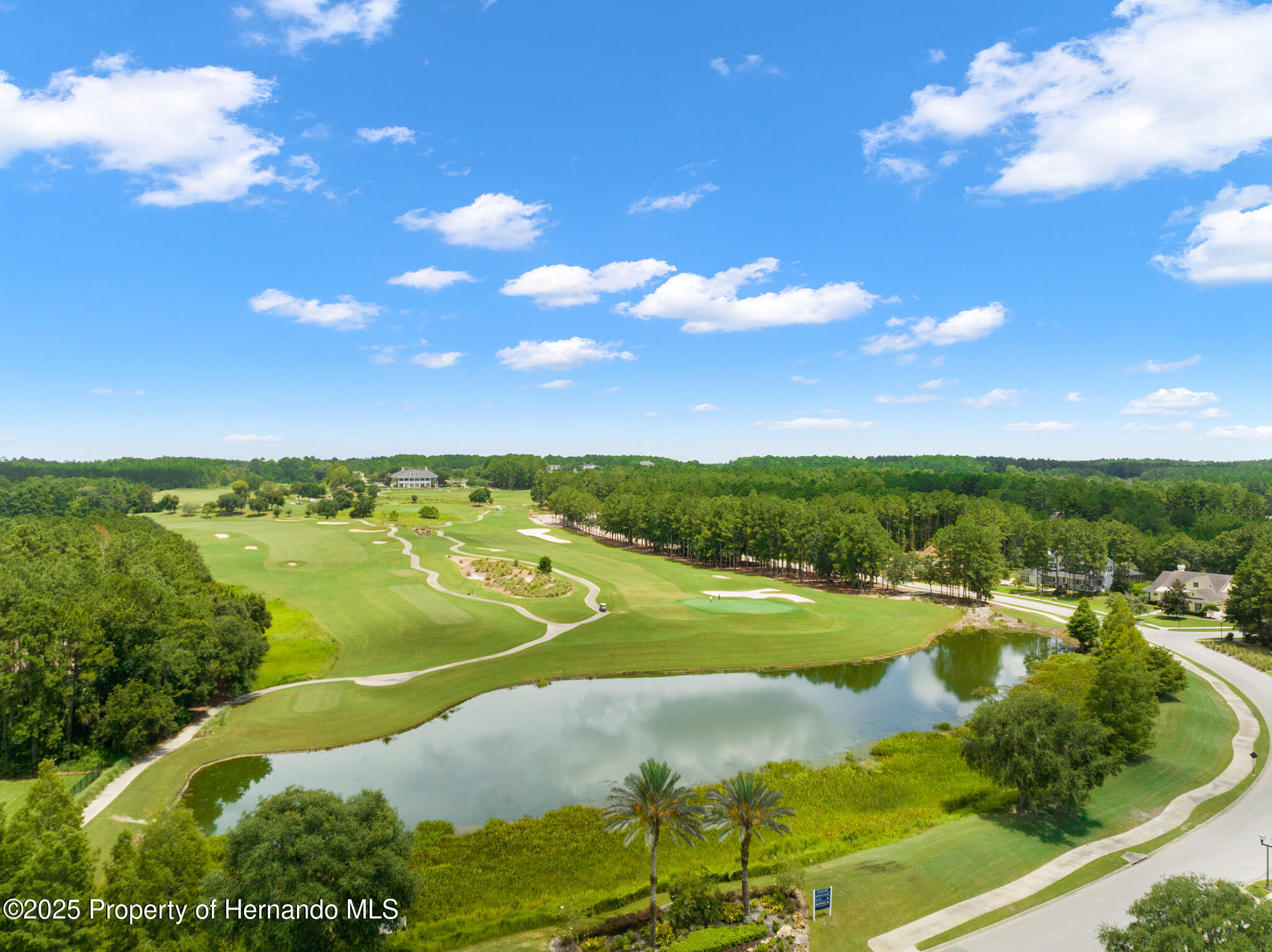 English Walnut Place, Brooksville, Florida image 10