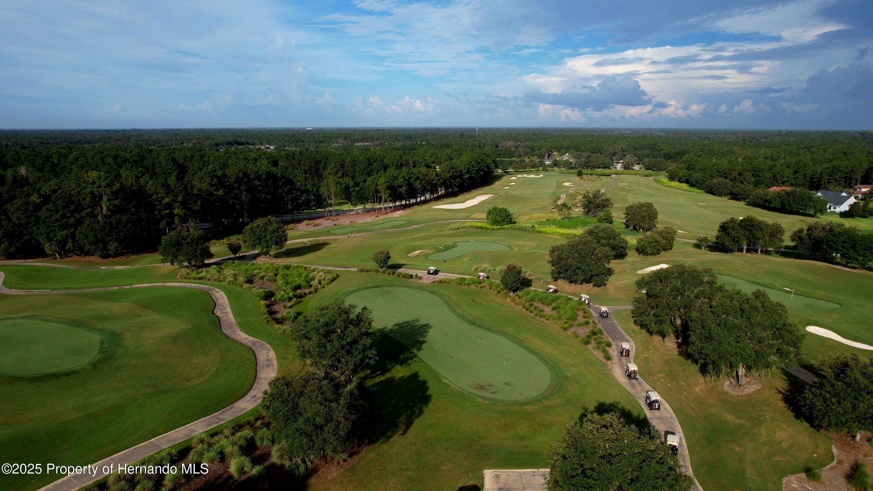 English Walnut Place, Brooksville, Florida image 16