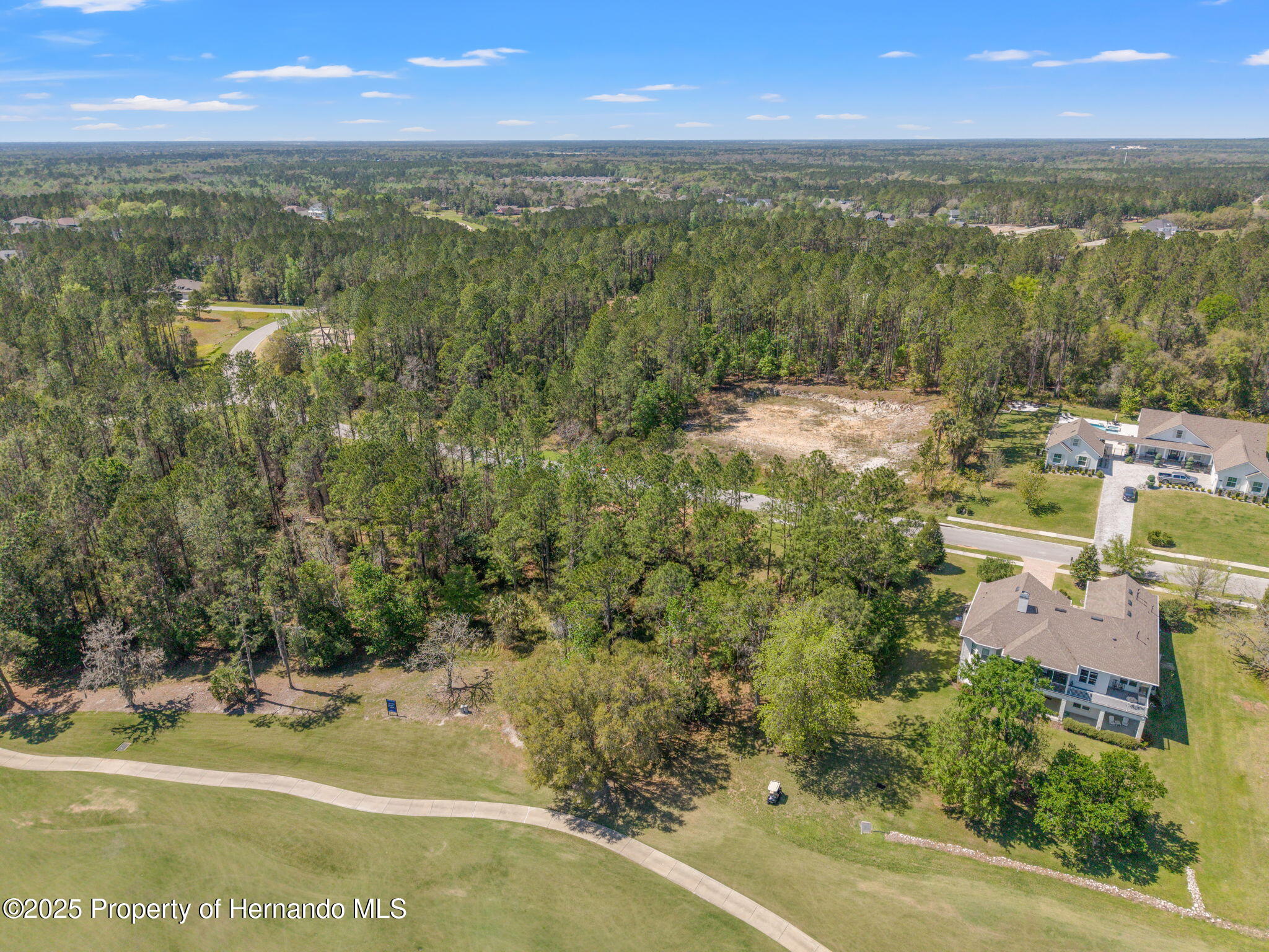 English Walnut Place, Brooksville, Florida image 4