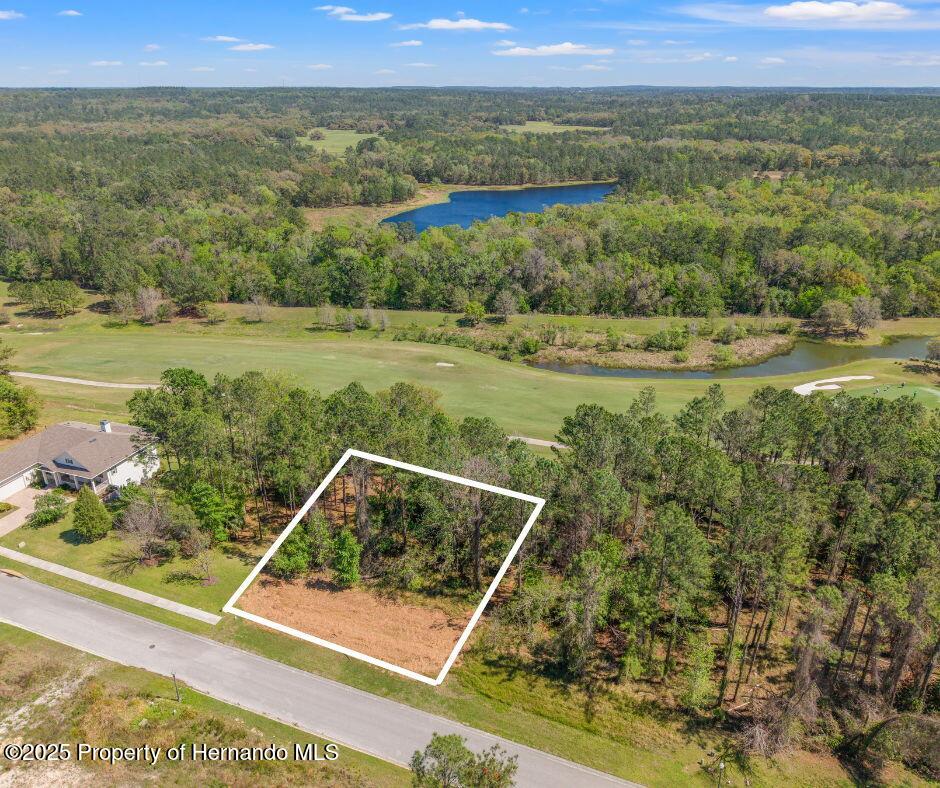 English Walnut Place, Brooksville, Florida image 8