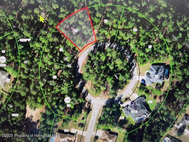 23 Browallia Court, Homosassa, Florida image 1