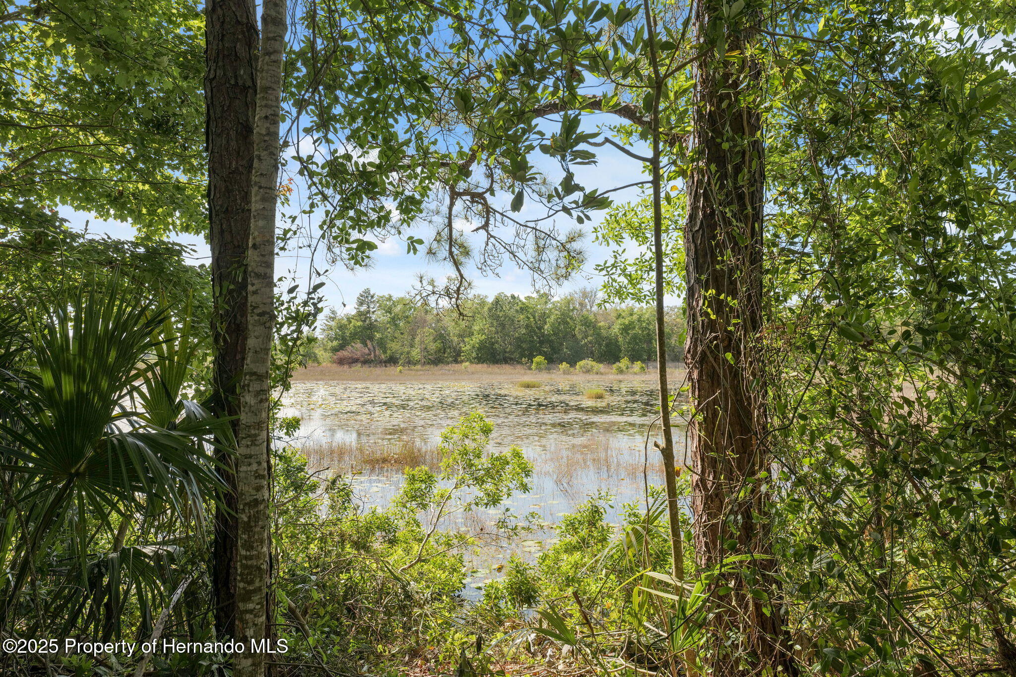 8343 Normandy Drive, Weeki Wachee, Florida image 5