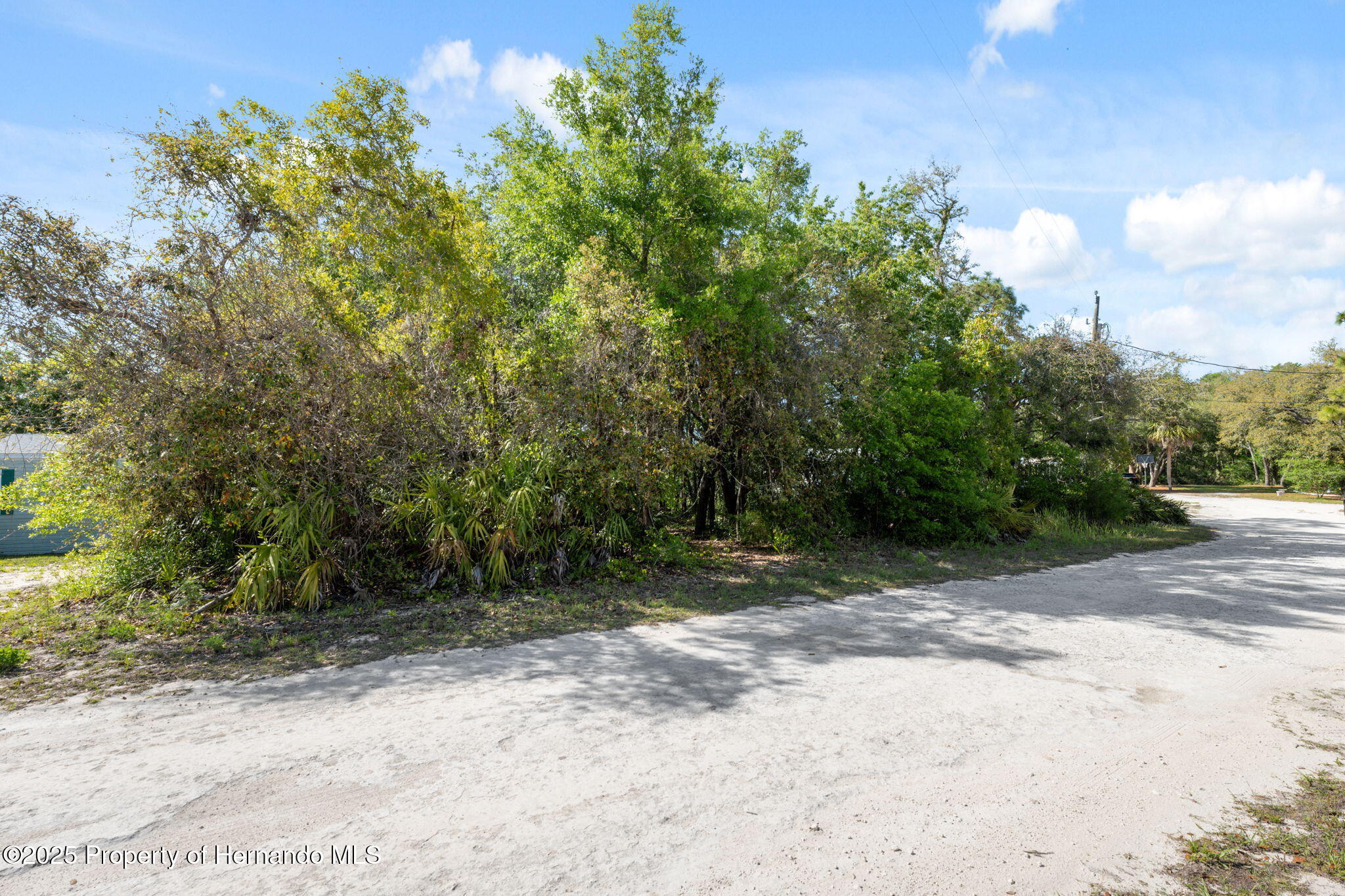 8343 Normandy Drive, Weeki Wachee, Florida image 11