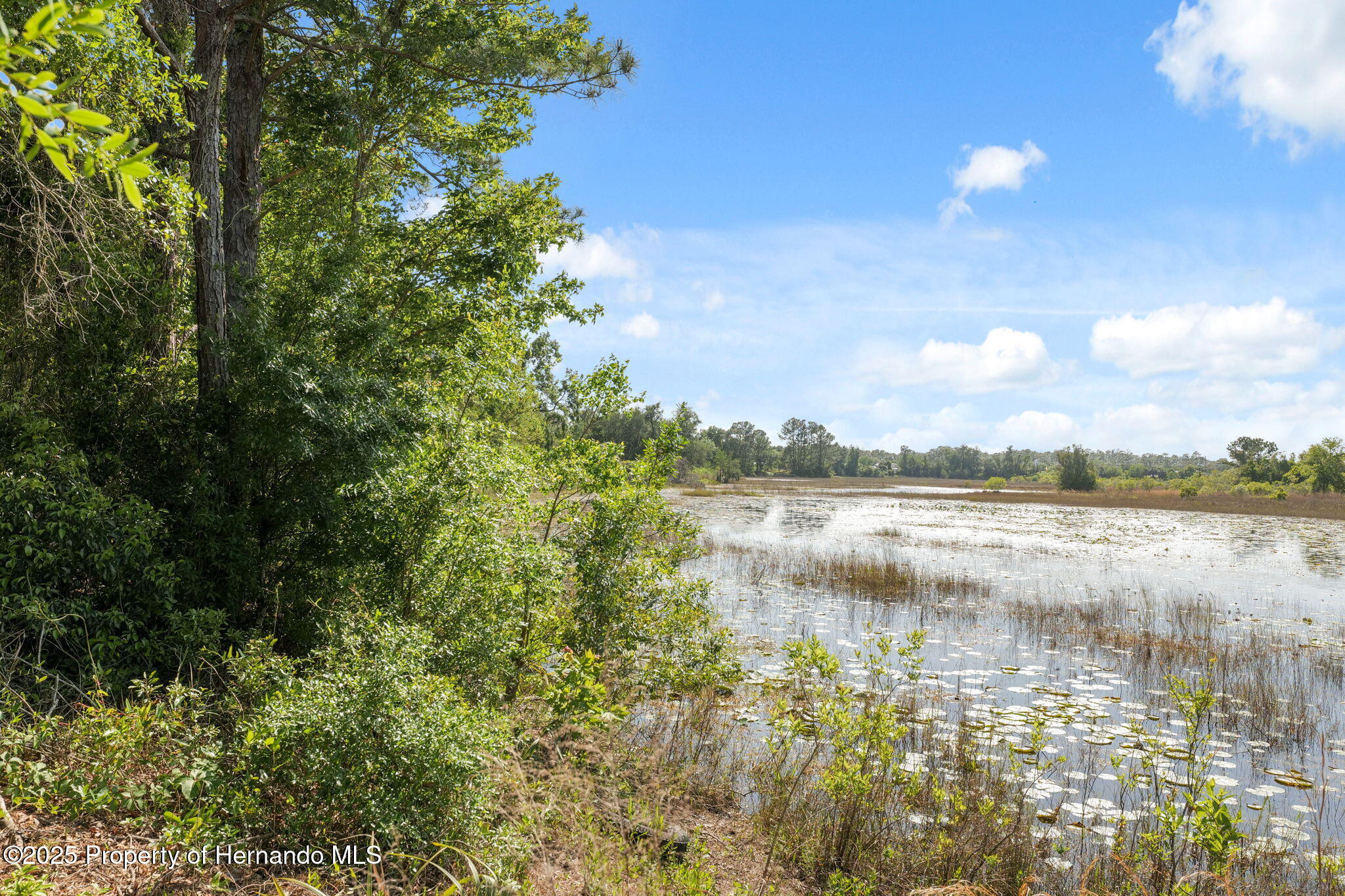 8343 Normandy Drive, Weeki Wachee, Florida image 6