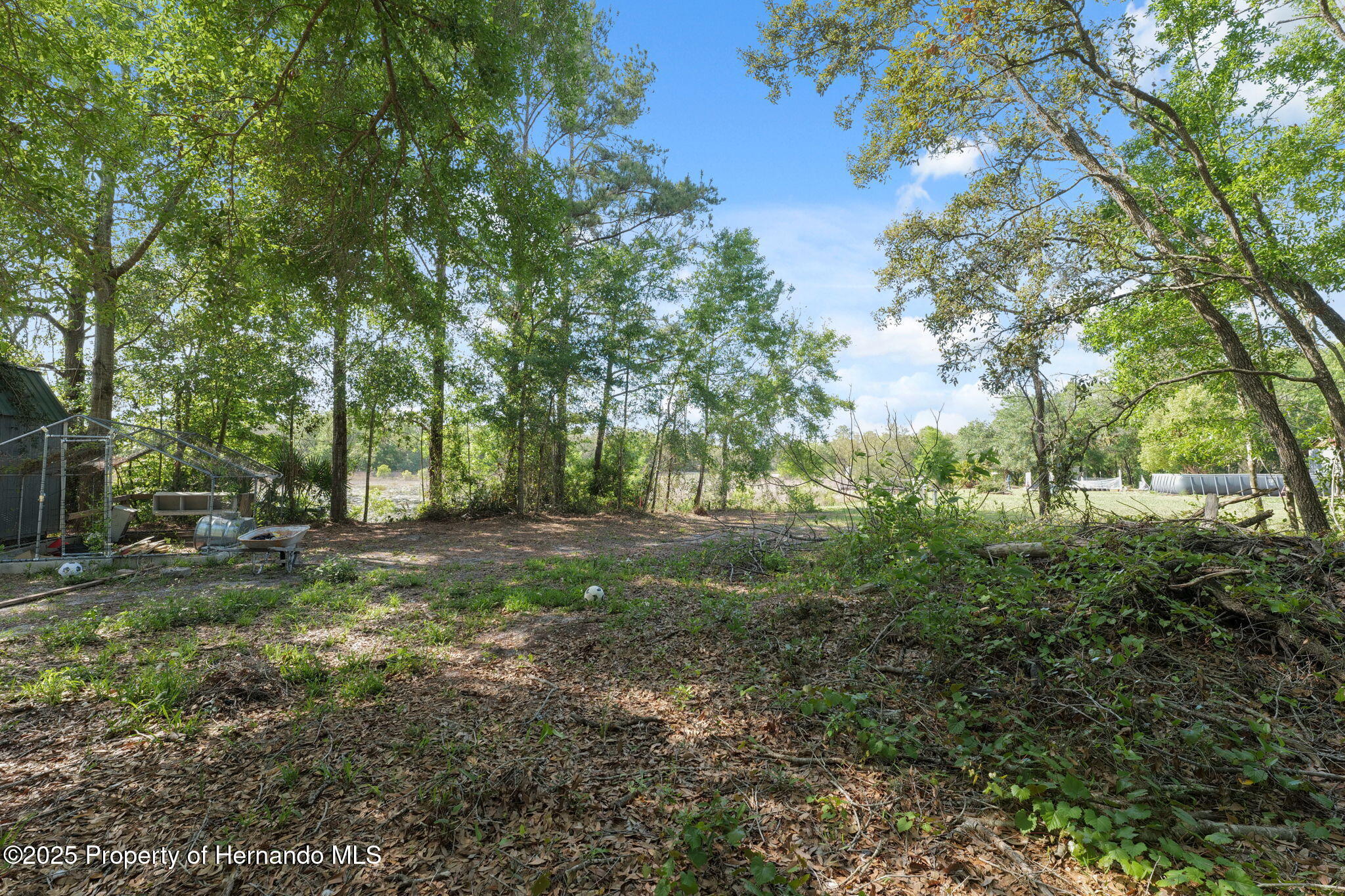 8343 Normandy Drive, Weeki Wachee, Florida image 7