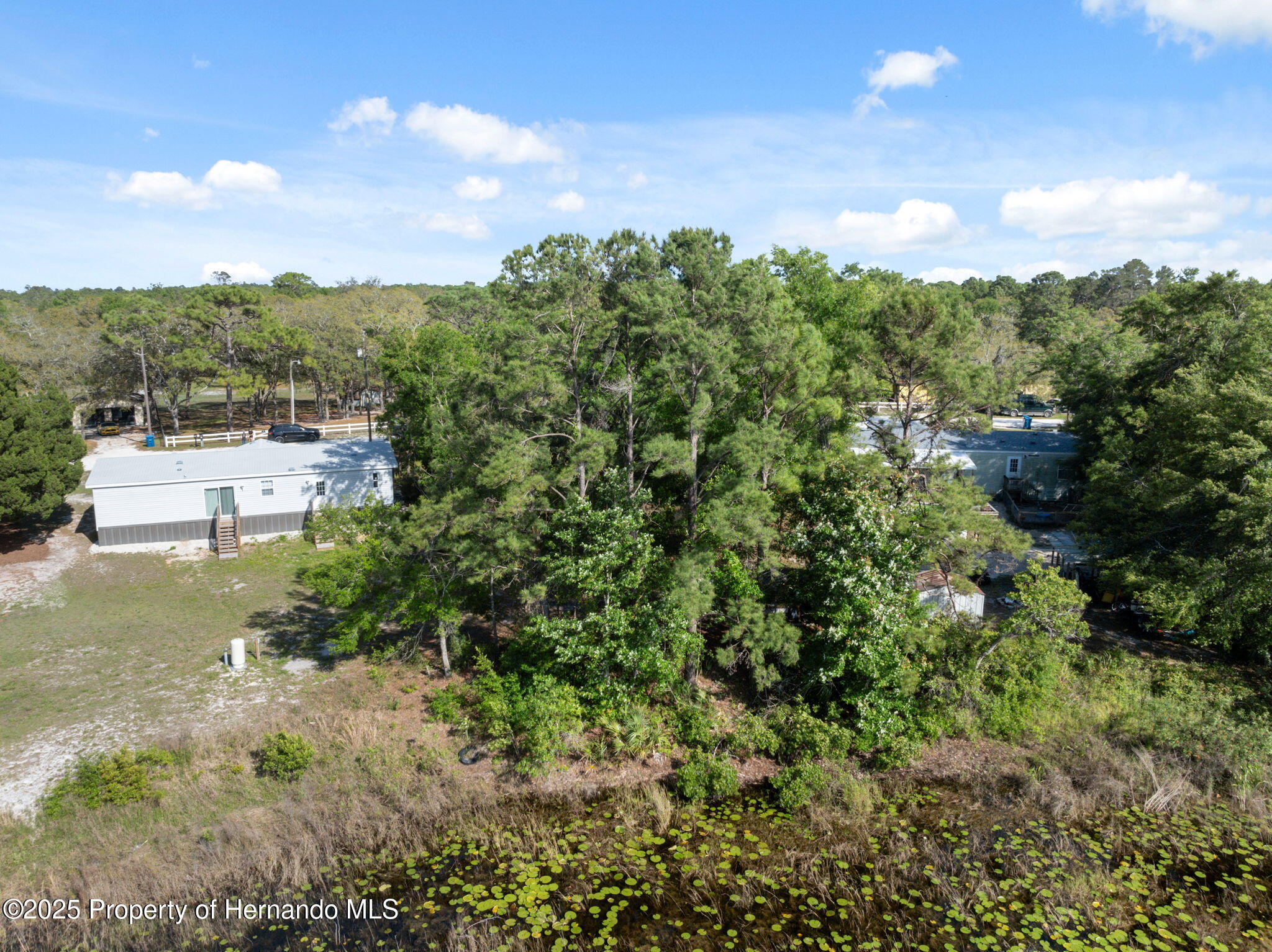 8343 Normandy Drive, Weeki Wachee, Florida image 3
