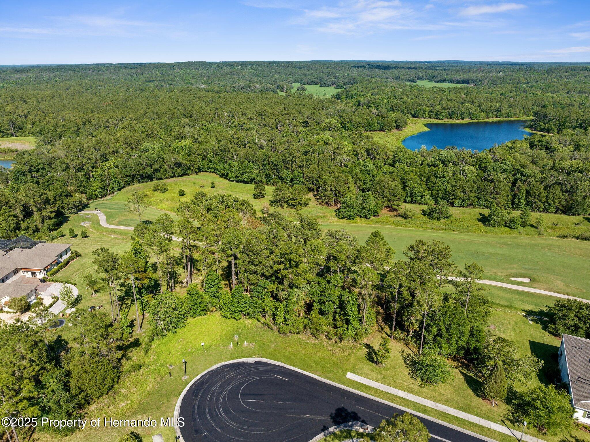 20118 English Walnut Place, Brooksville, Florida image 4