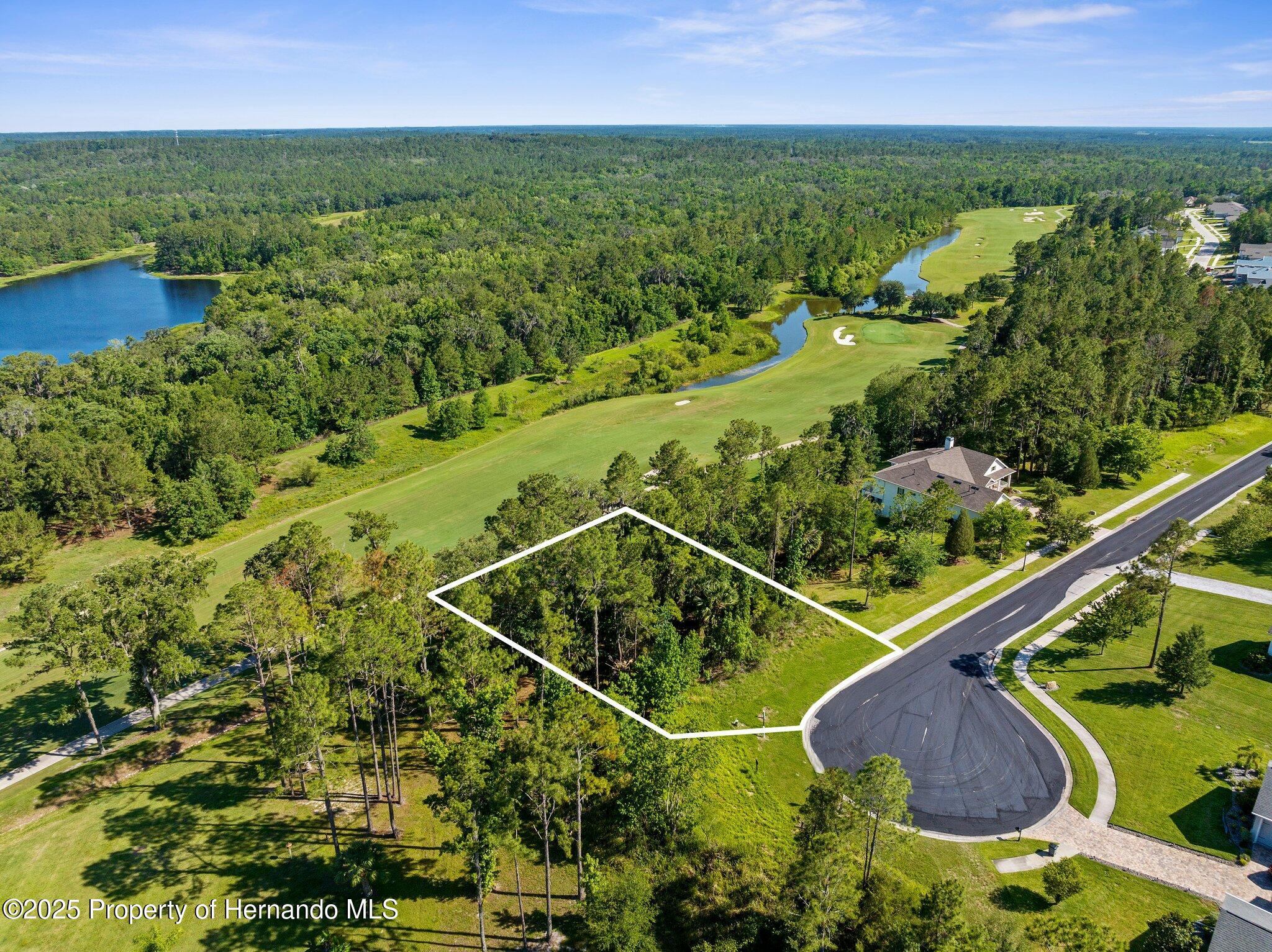 20118 English Walnut Place, Brooksville, Florida image 1