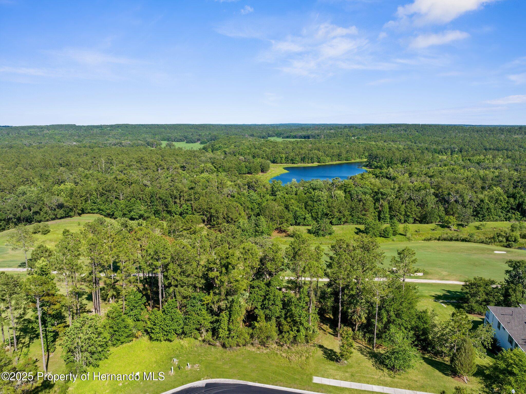 20118 English Walnut Place, Brooksville, Florida image 17
