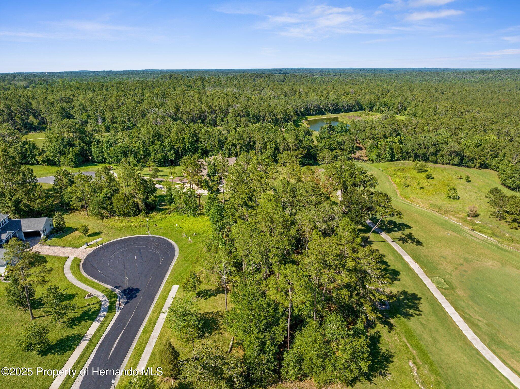 20118 English Walnut Place, Brooksville, Florida image 9