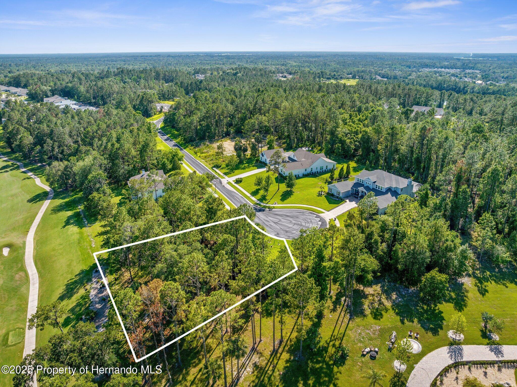 20118 English Walnut Place, Brooksville, Florida image 3
