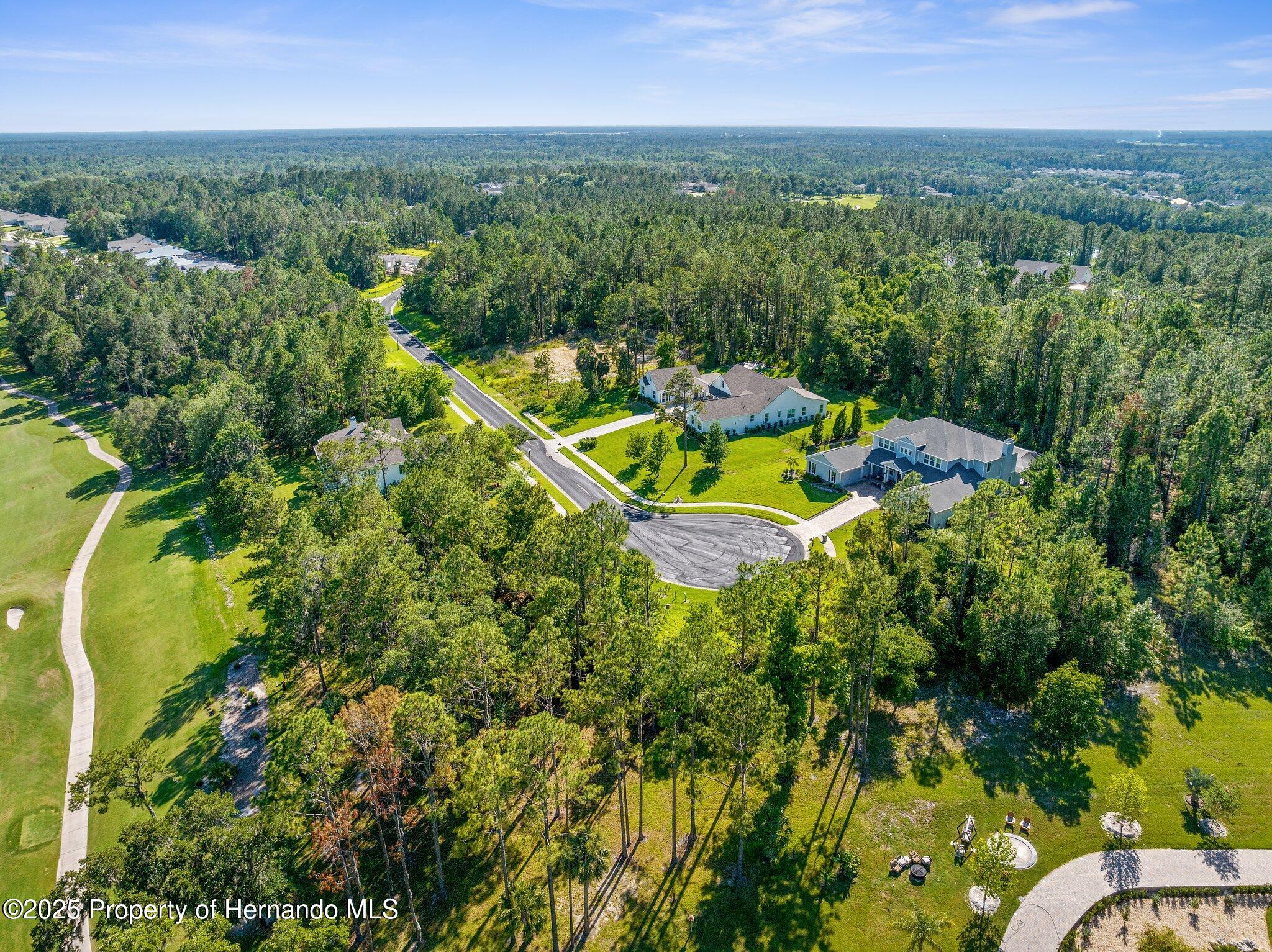 20118 English Walnut Place, Brooksville, Florida image 6