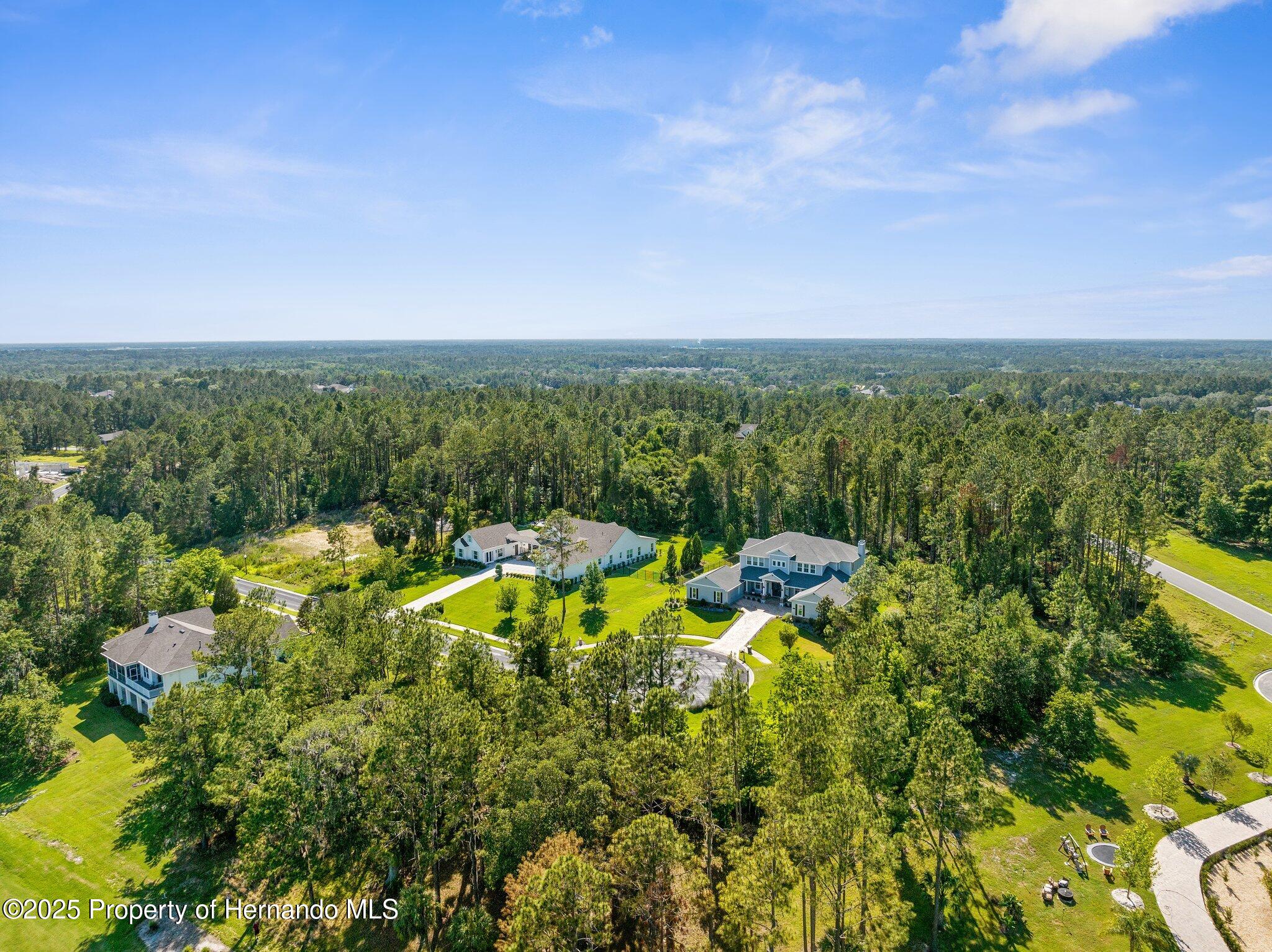 20118 English Walnut Place, Brooksville, Florida image 7