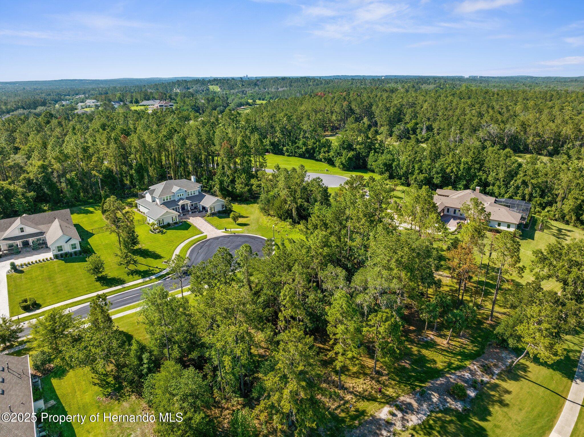 20118 English Walnut Place, Brooksville, Florida image 8