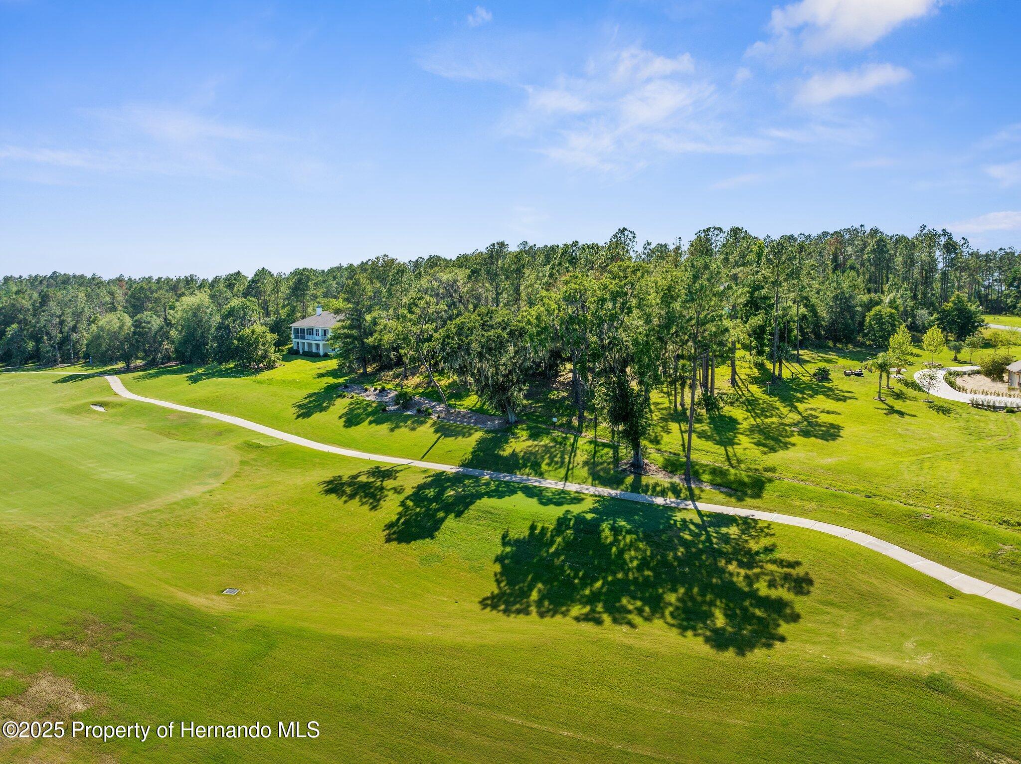 20118 English Walnut Place, Brooksville, Florida image 14