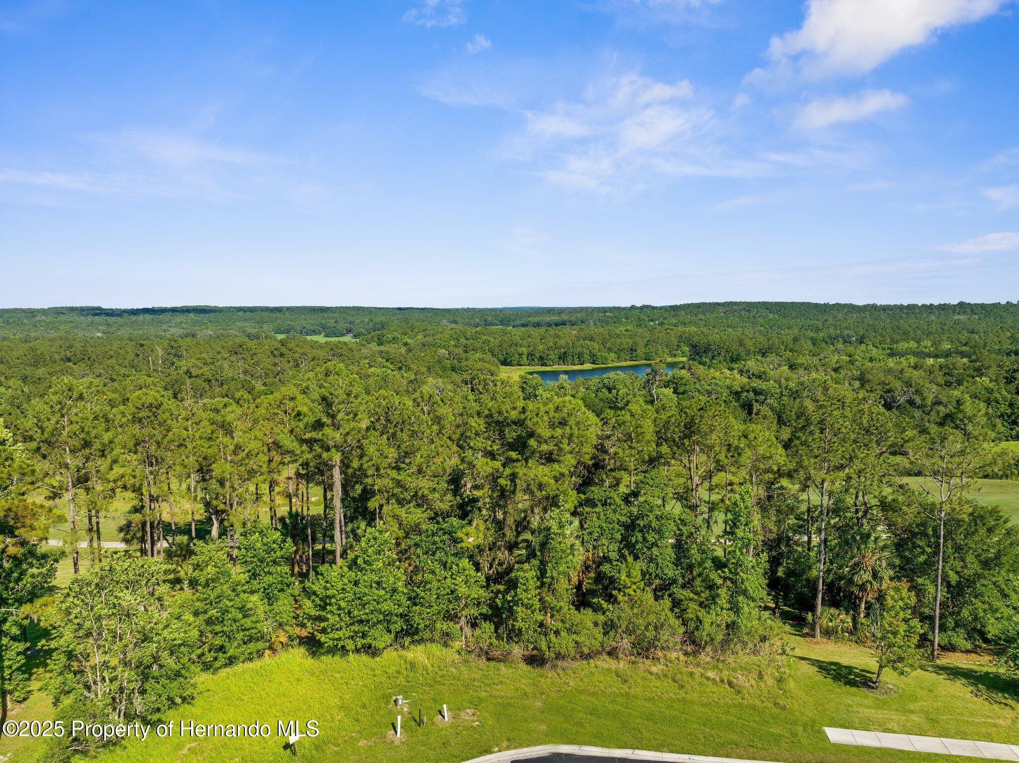 20118 English Walnut Place, Brooksville, Florida image 11
