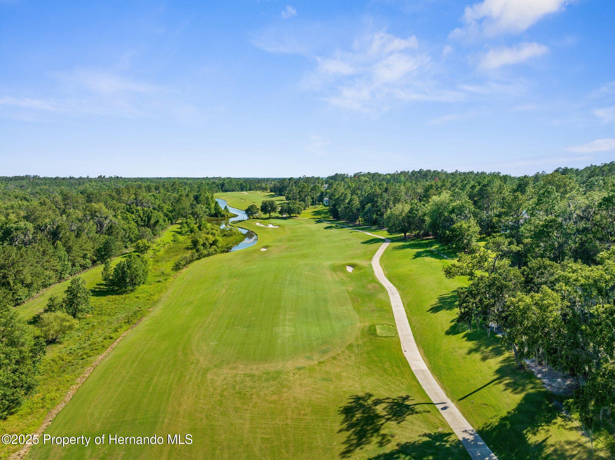 20118 English Walnut Place, Brooksville, Florida image 16