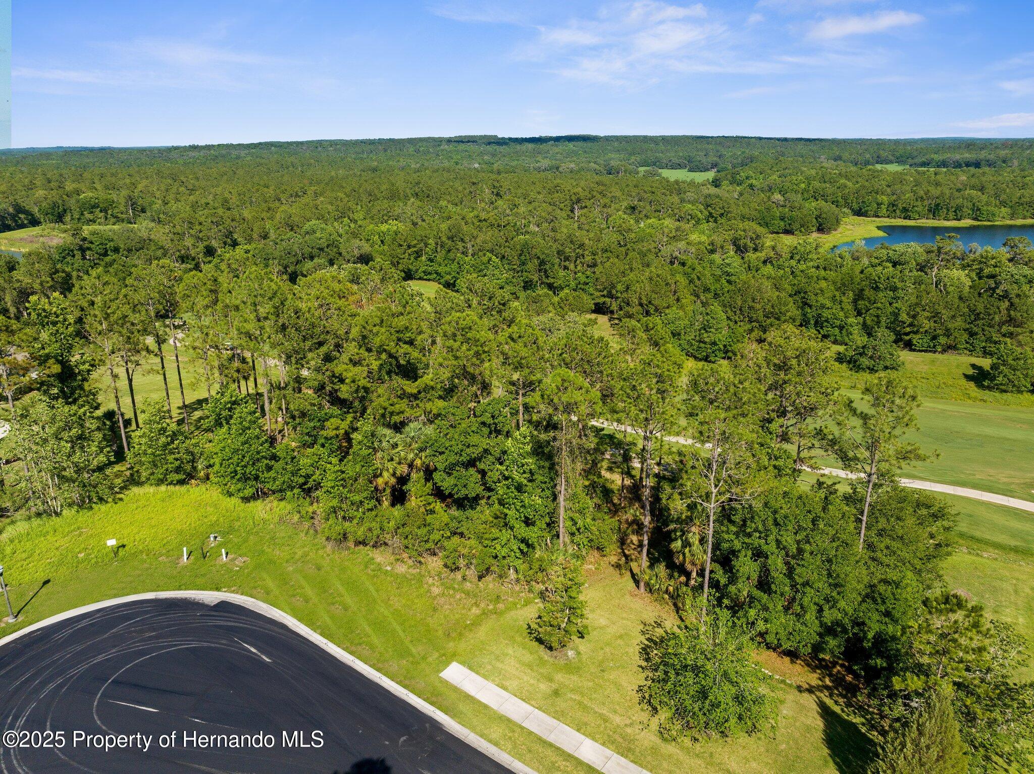 20118 English Walnut Place, Brooksville, Florida image 12