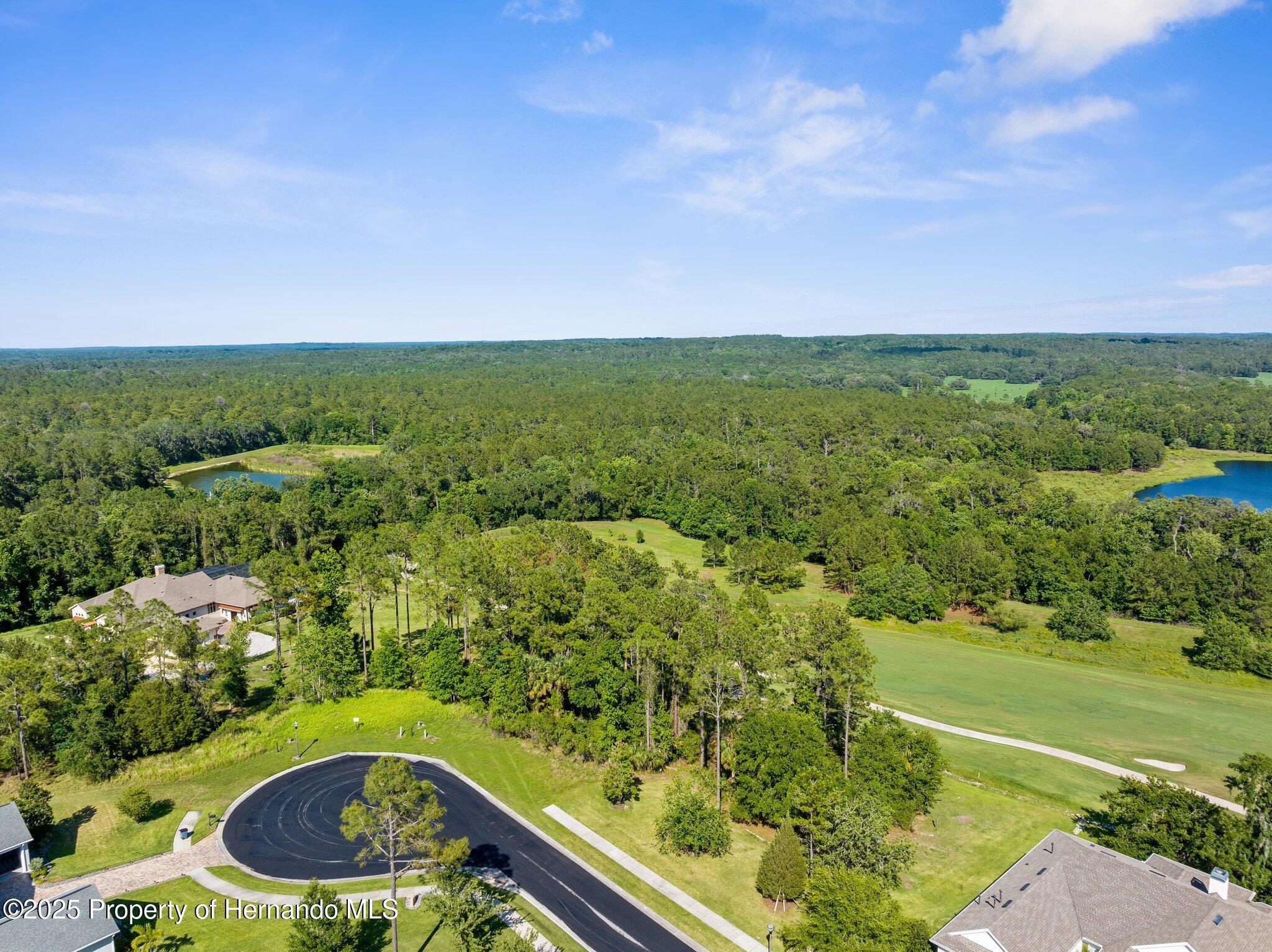 20118 English Walnut Place, Brooksville, Florida image 10