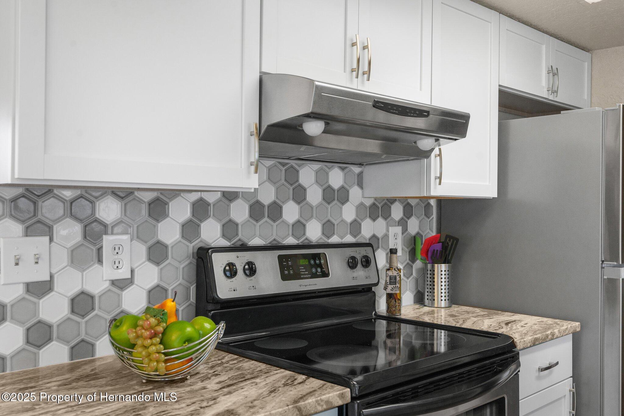 11050 Auburndale Street, Spring Hill, Florida image 10