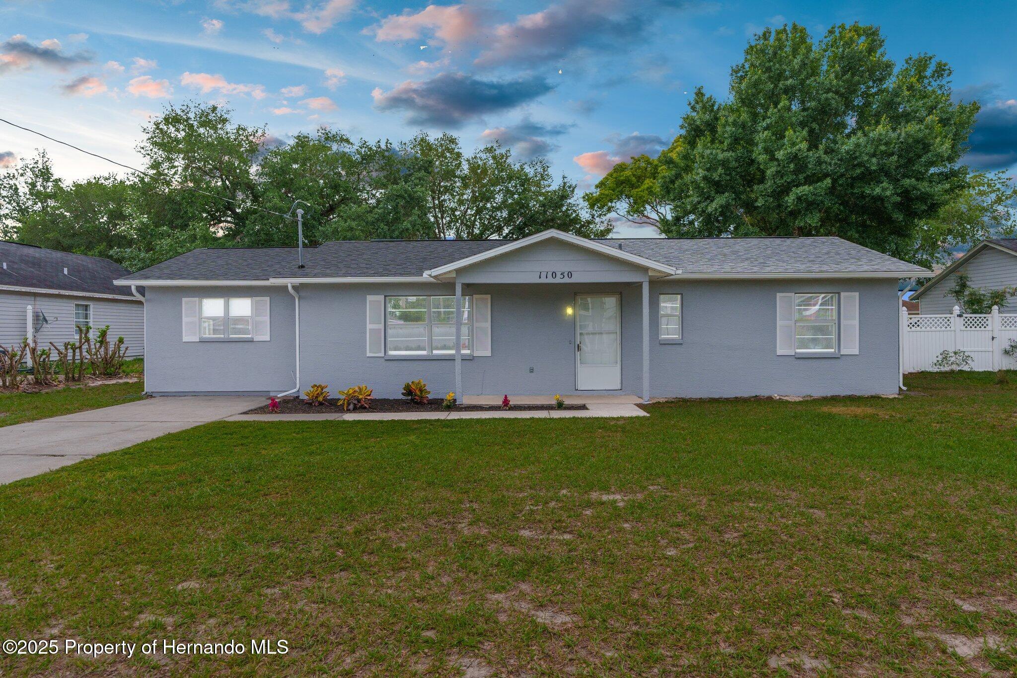 11050 Auburndale Street, Spring Hill, Florida image 1