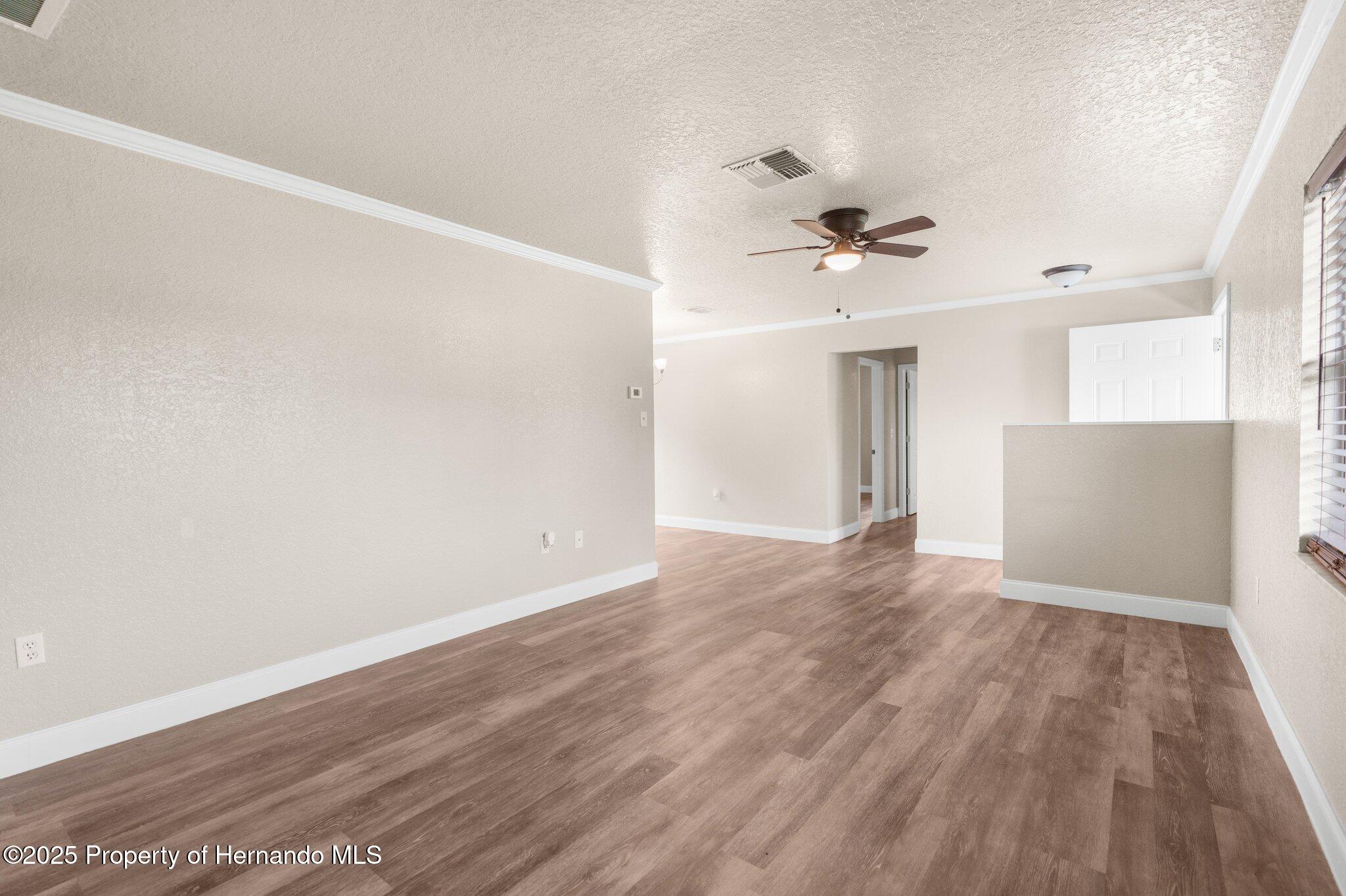 11050 Auburndale Street, Spring Hill, Florida image 5