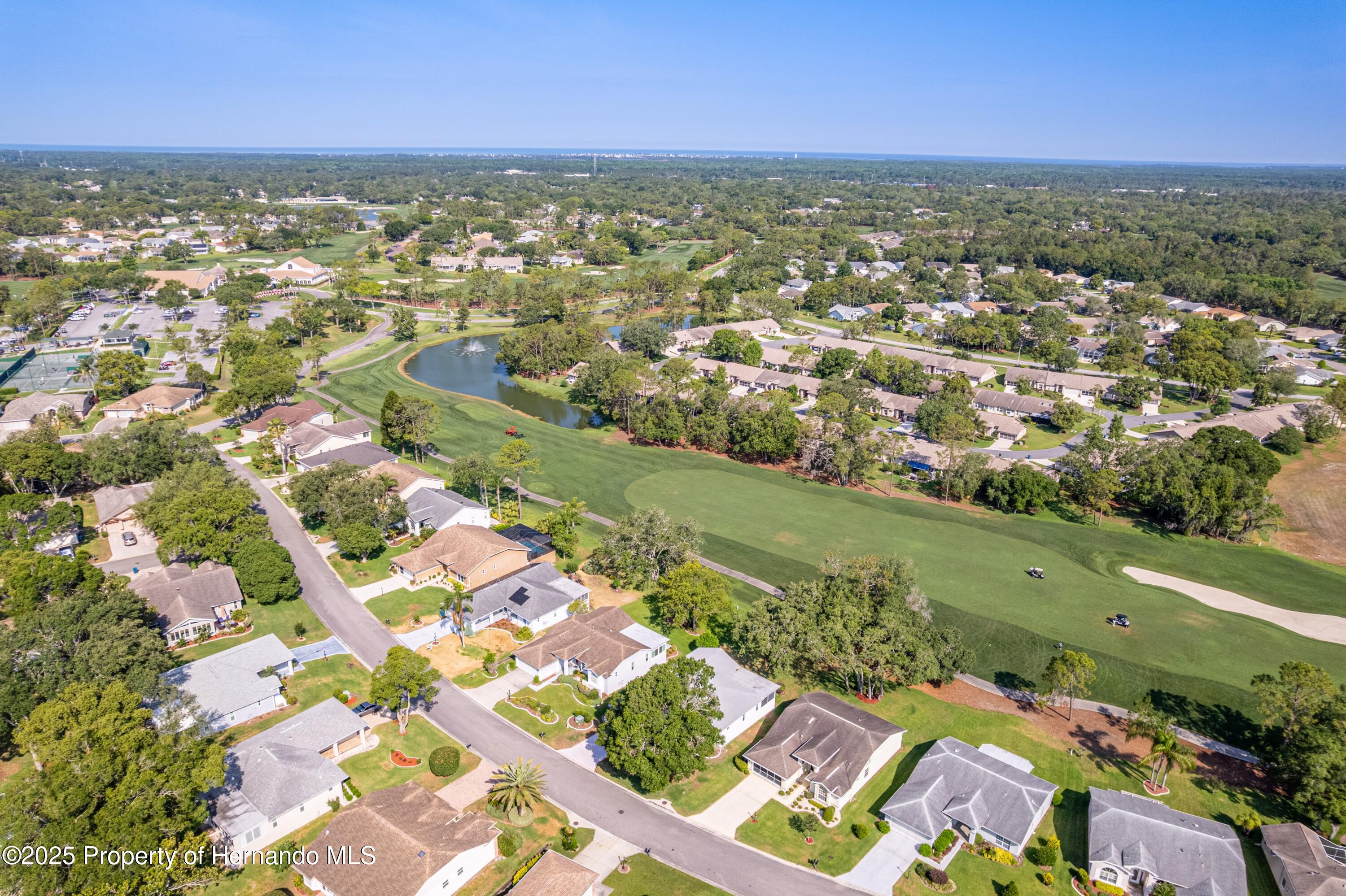 7499 Blue Skies Drive, Spring Hill, Florida image 49