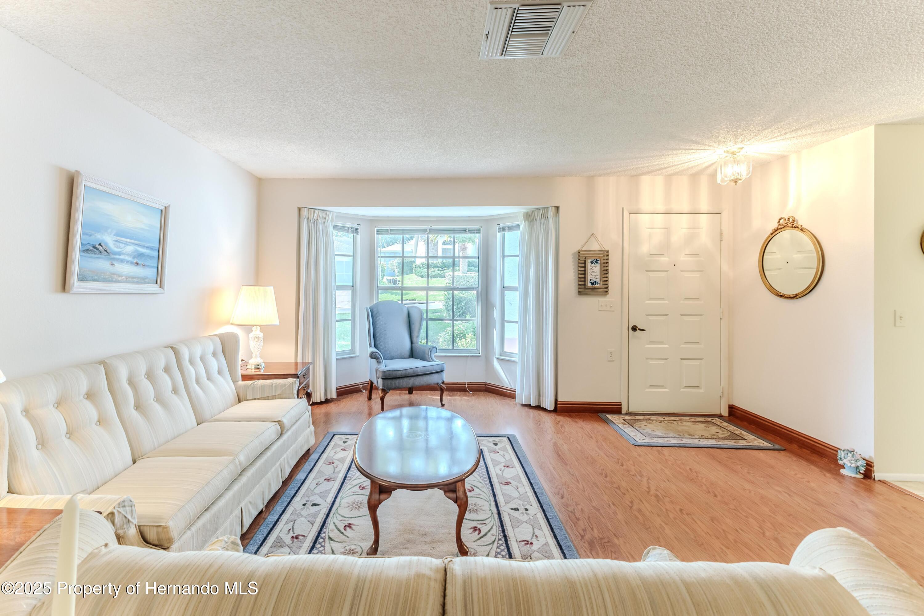 7499 Blue Skies Drive, Spring Hill, Florida image 8