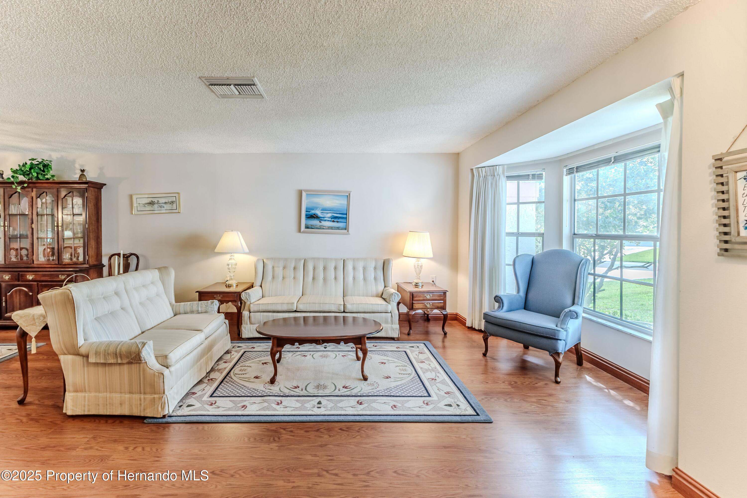 7499 Blue Skies Drive, Spring Hill, Florida image 9