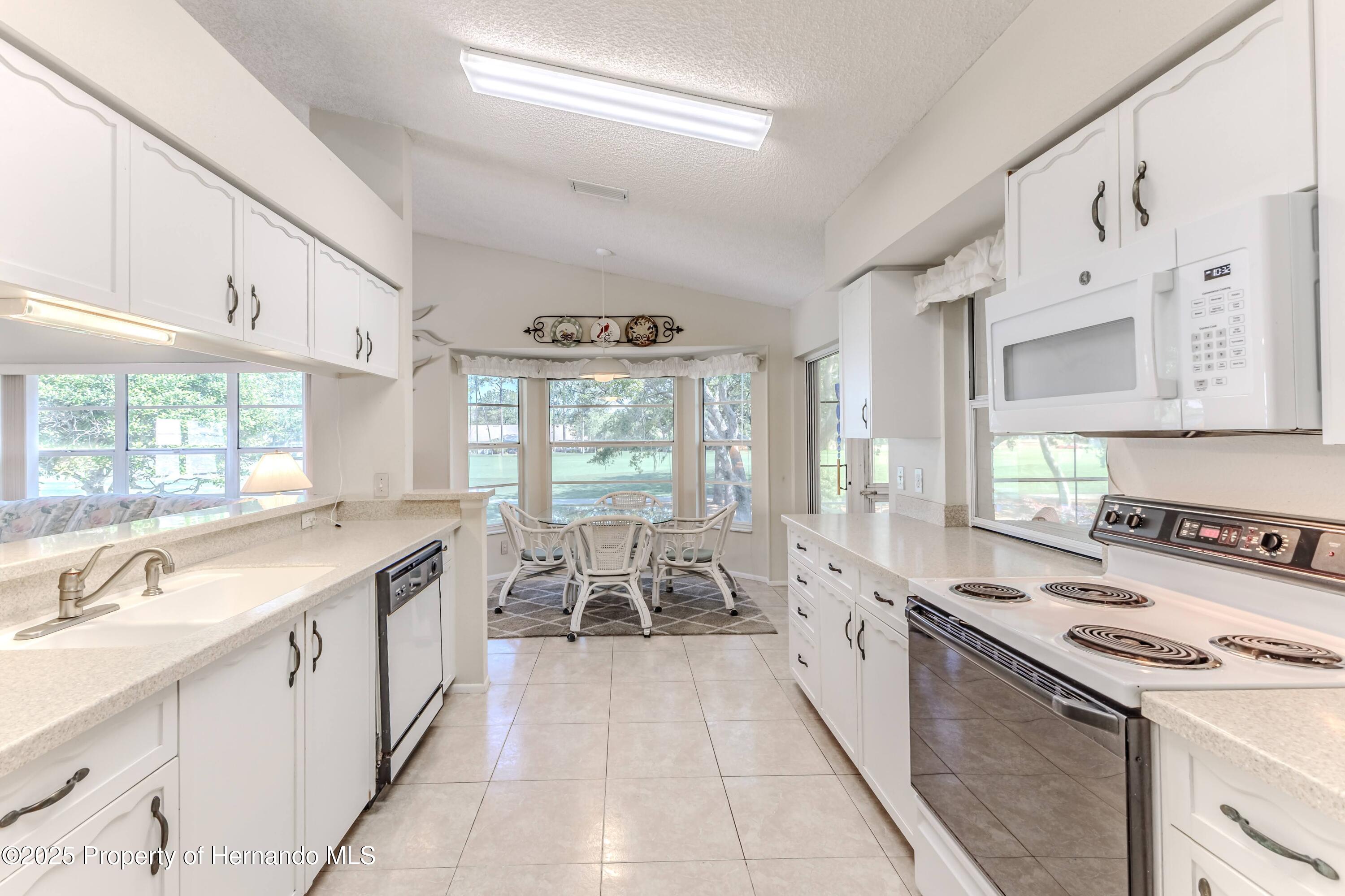 7499 Blue Skies Drive, Spring Hill, Florida image 21