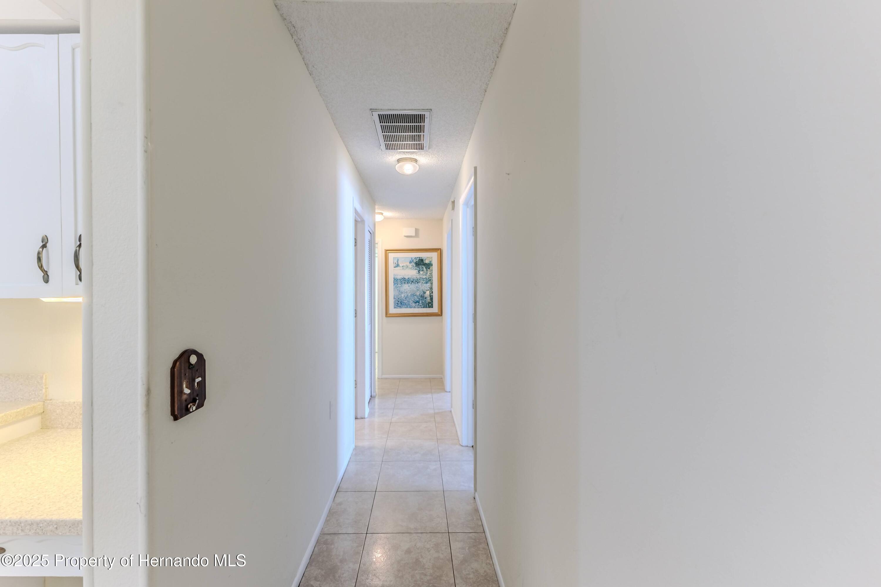 7499 Blue Skies Drive, Spring Hill, Florida image 39
