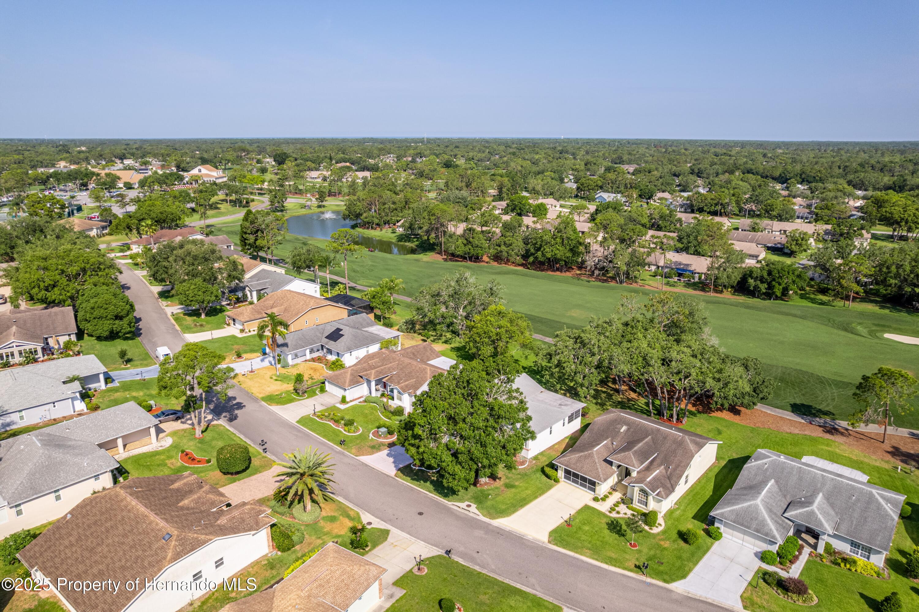 7499 Blue Skies Drive, Spring Hill, Florida image 12