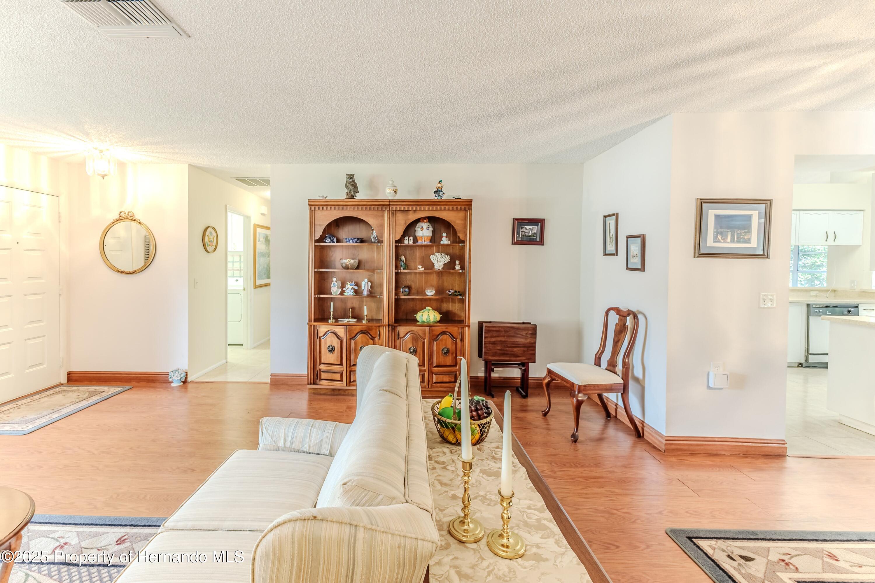 7499 Blue Skies Drive, Spring Hill, Florida image 10