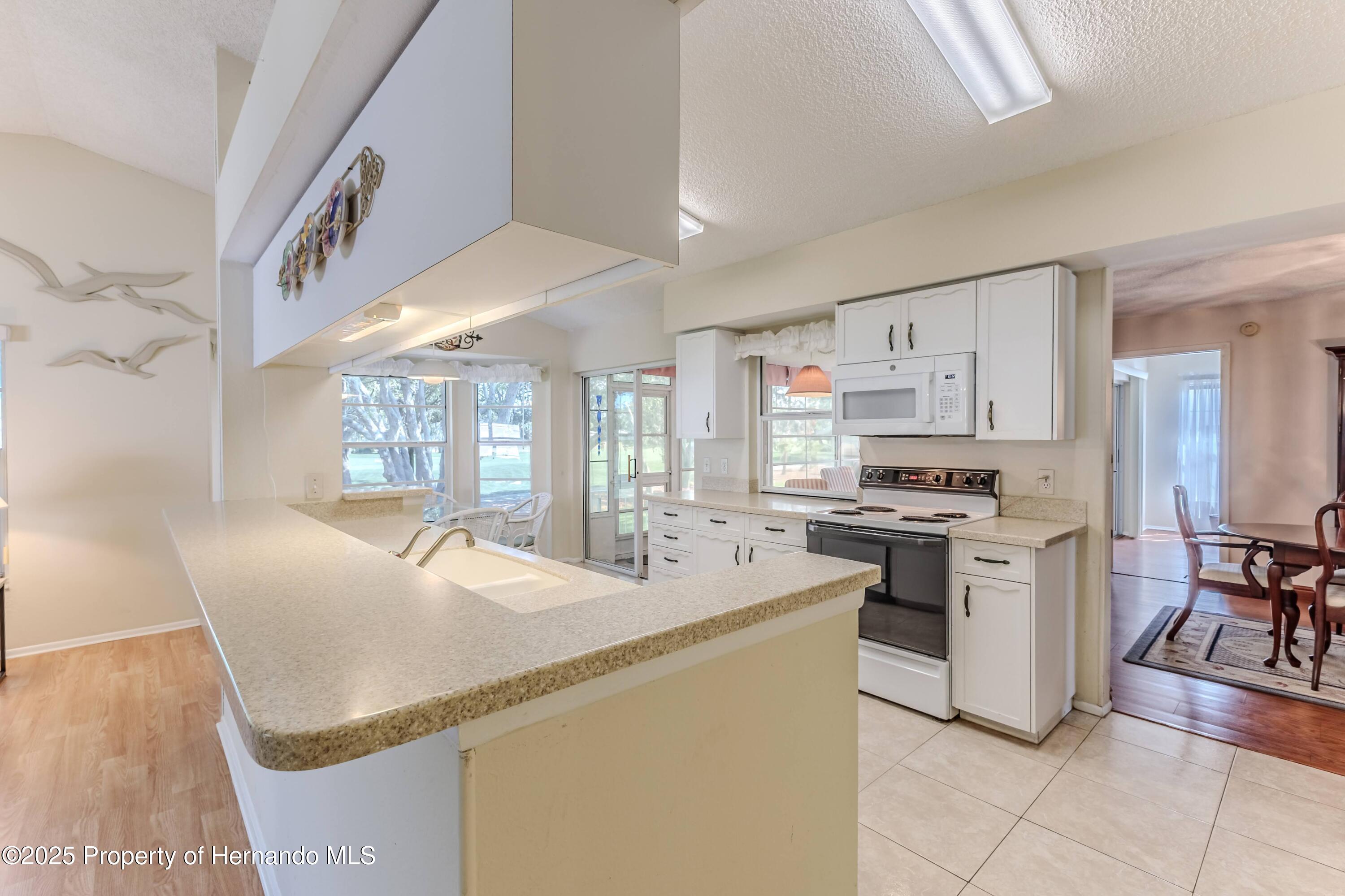 7499 Blue Skies Drive, Spring Hill, Florida image 20