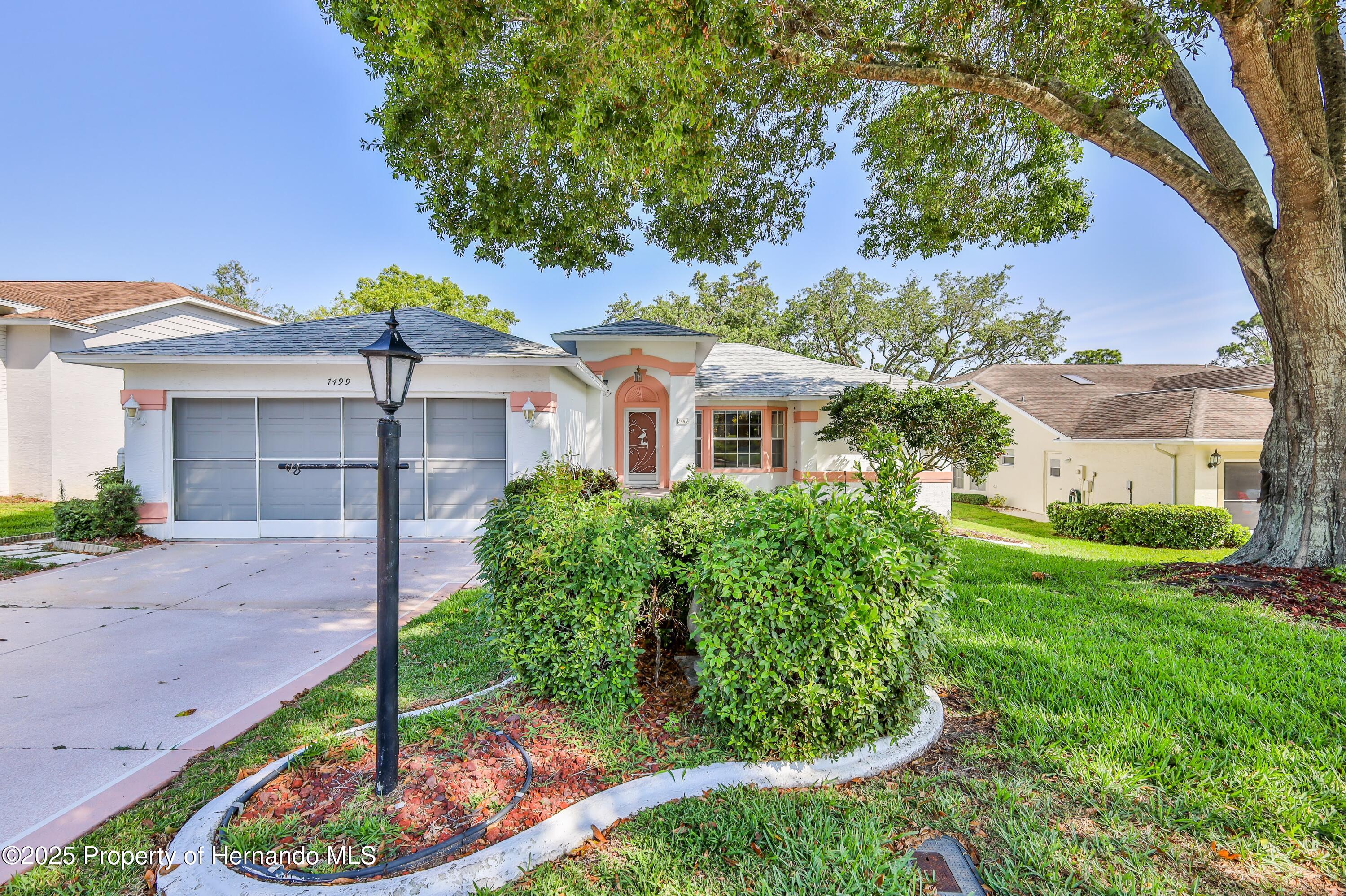 7499 Blue Skies Drive, Spring Hill, Florida image 1