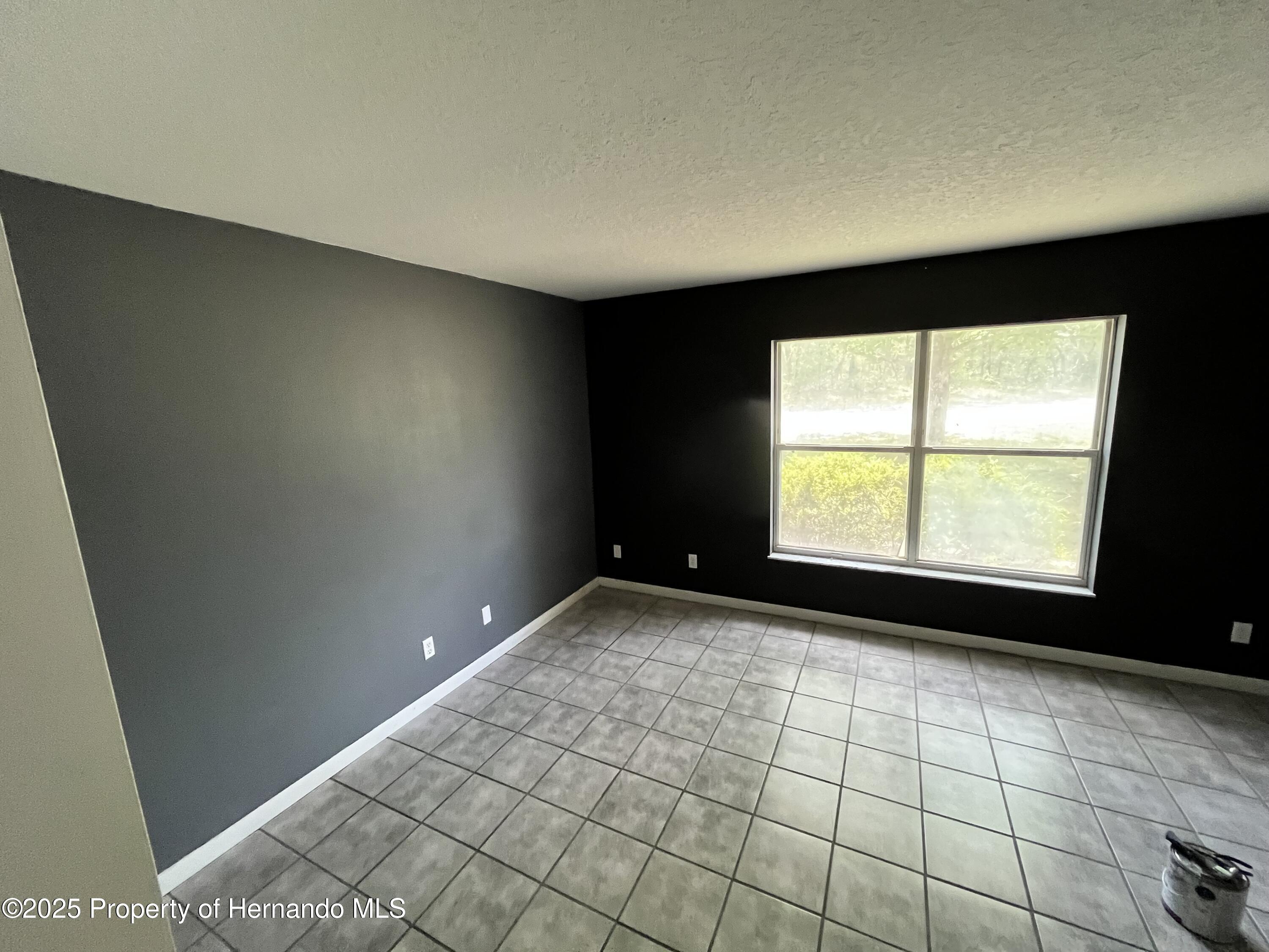 24 Black Willow Court, Homosassa, Florida image 12