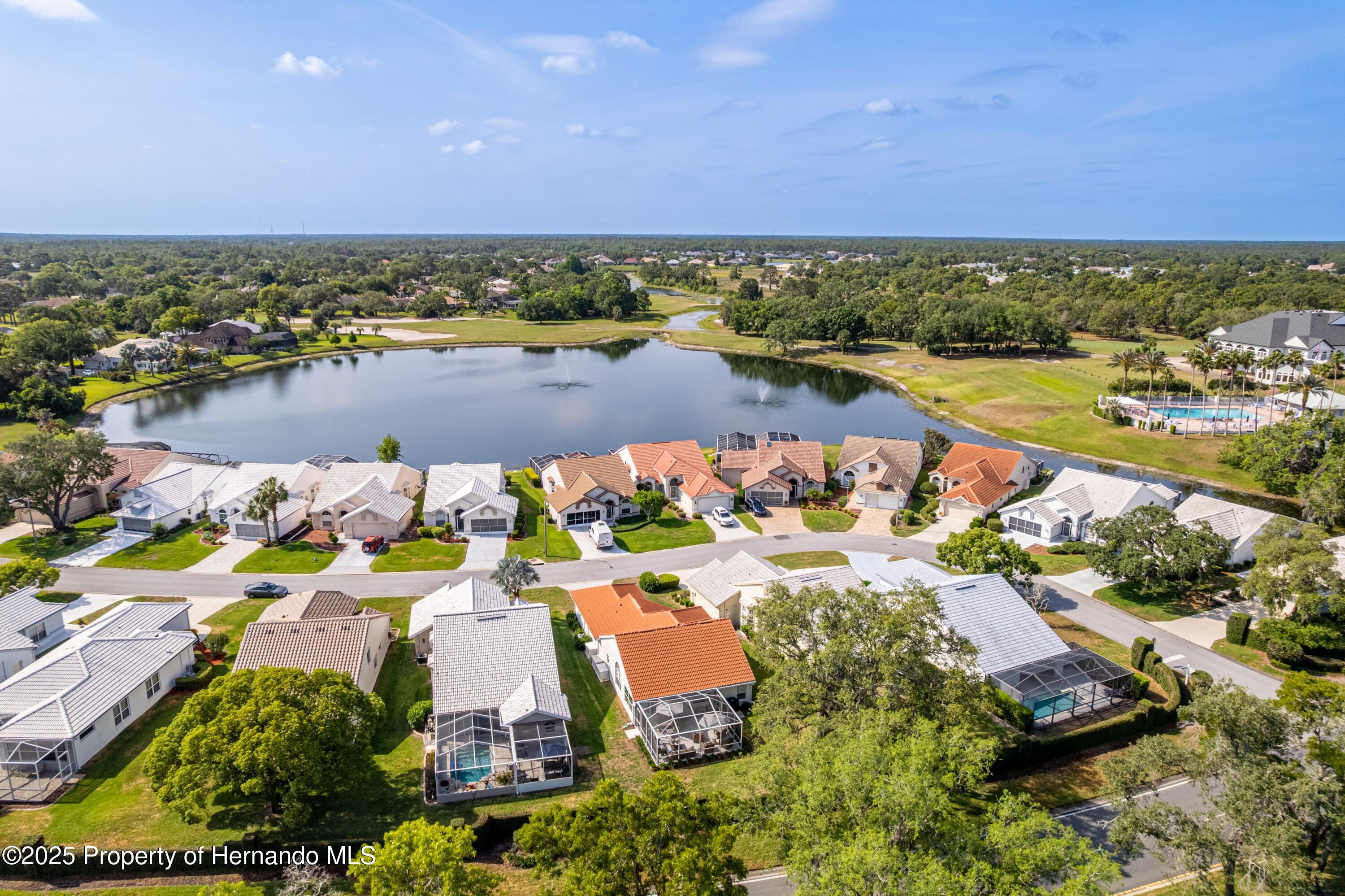9135 Rhett Lane, Weeki Wachee, Florida image 5