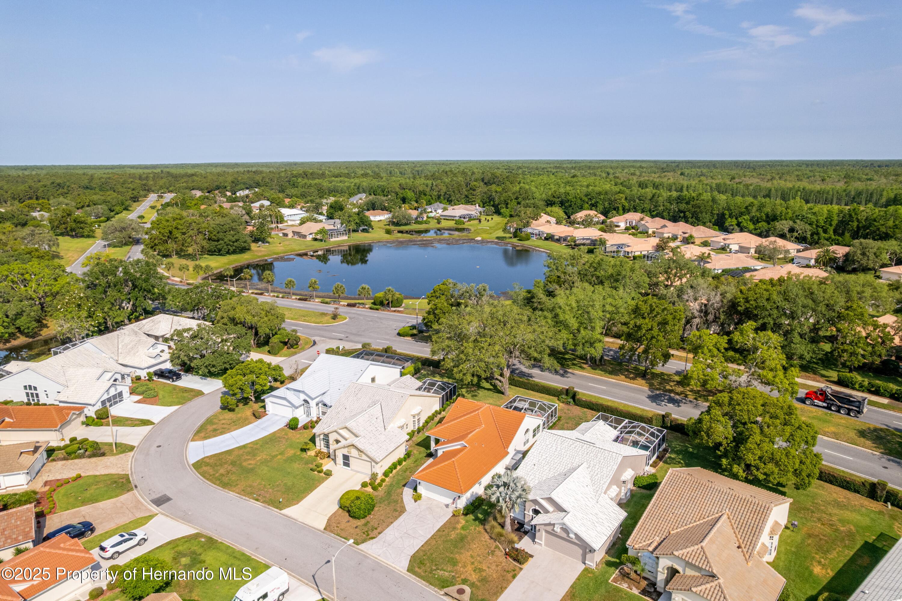 9135 Rhett Lane, Weeki Wachee, Florida image 3