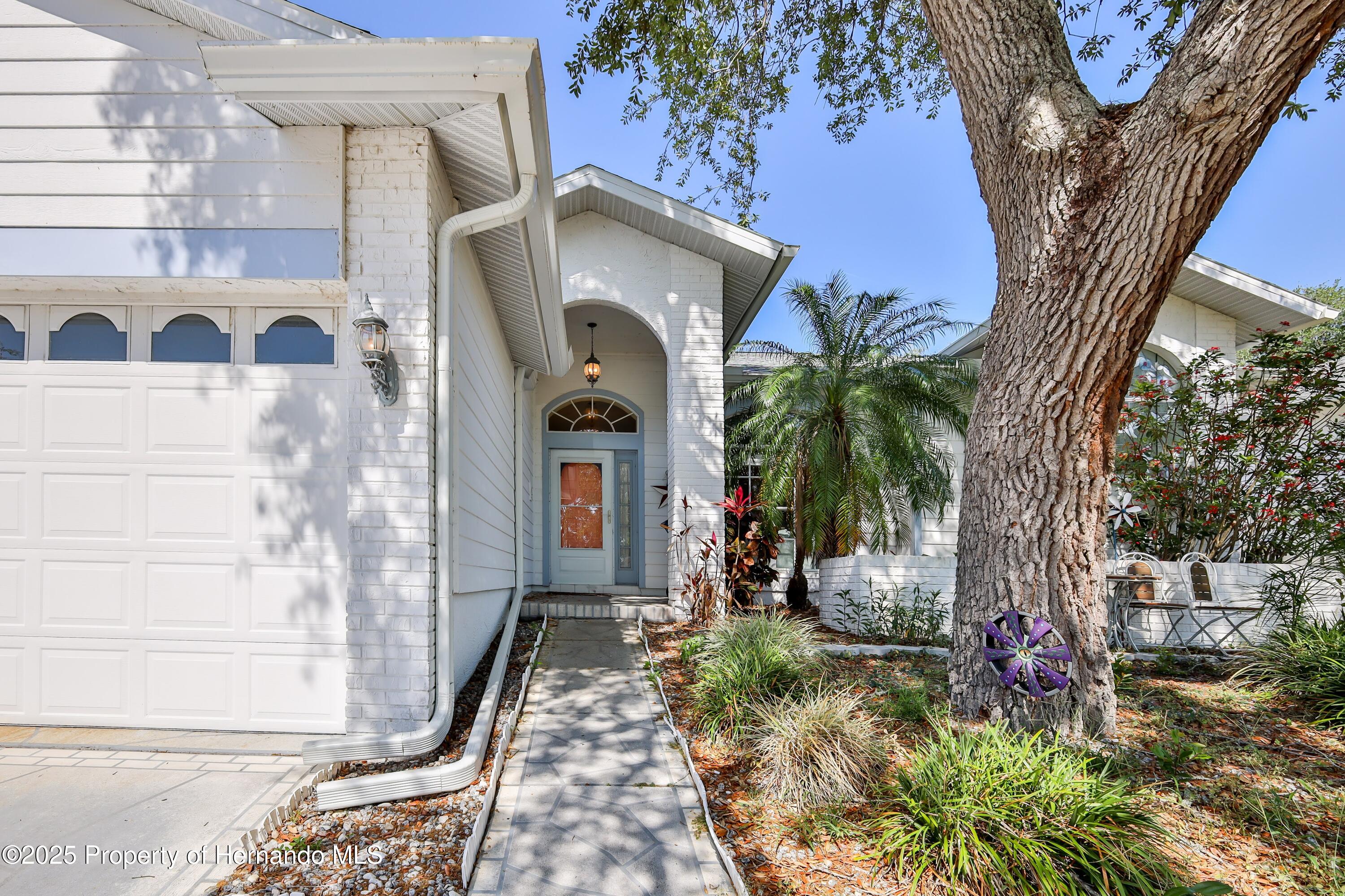 2327 Morning Glory Trail, Spring Hill, Florida image 8