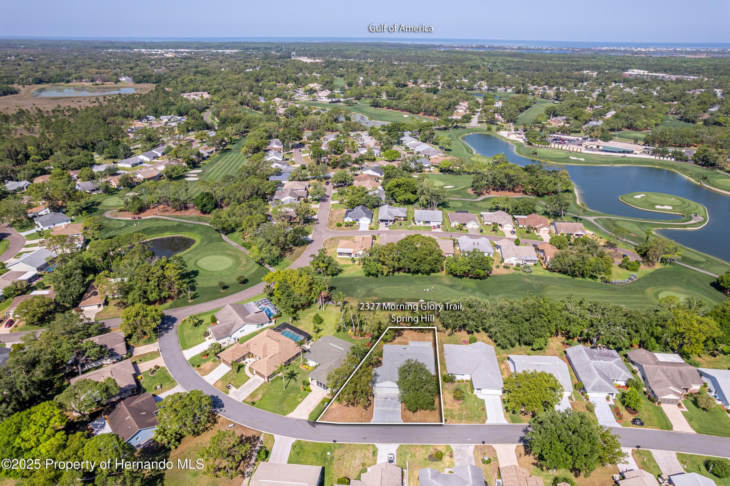 2327 Morning Glory Trail, Spring Hill, Florida image 3