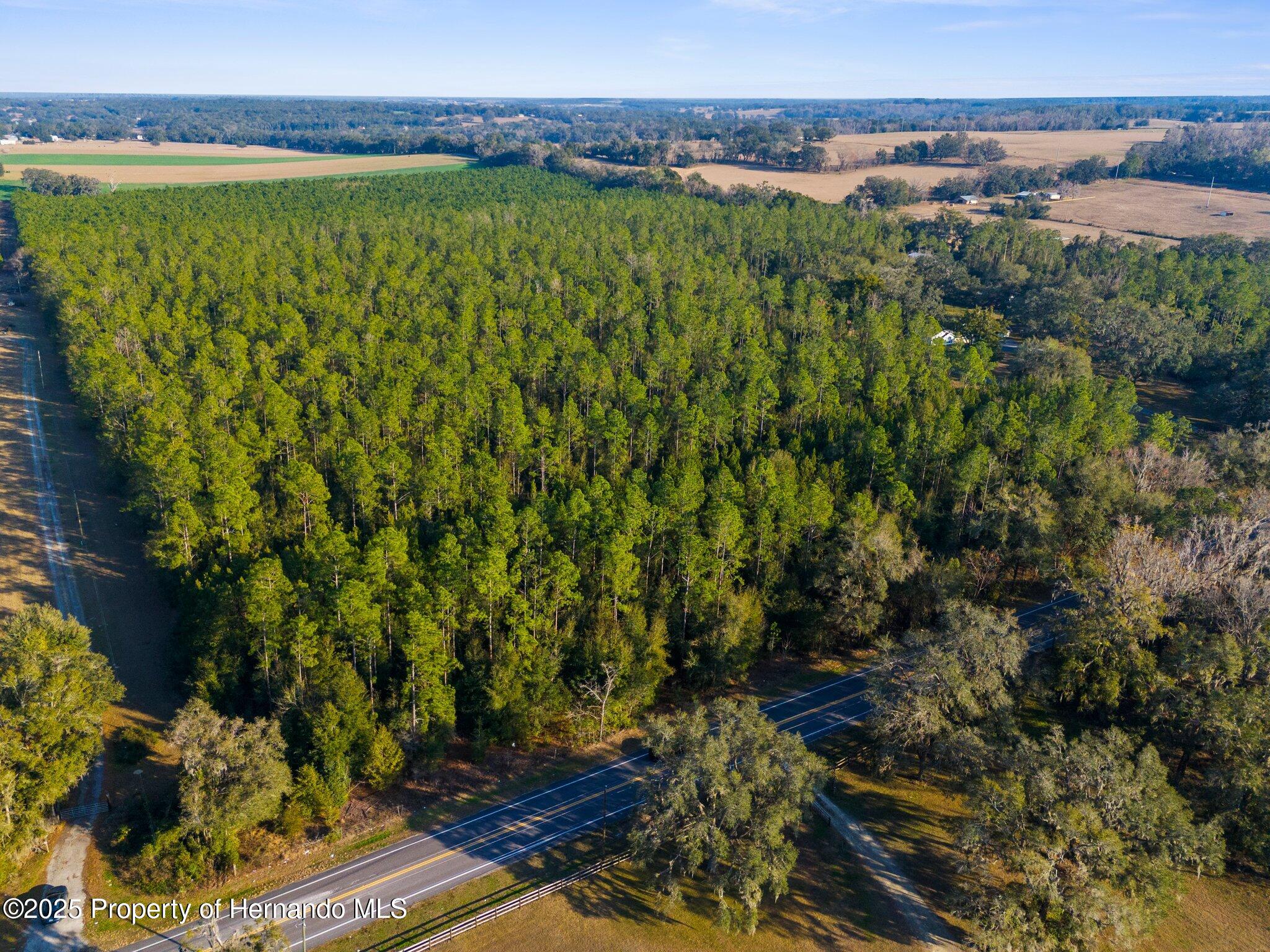 9999 Spring Lake Highway, Brooksville, Florida image 11