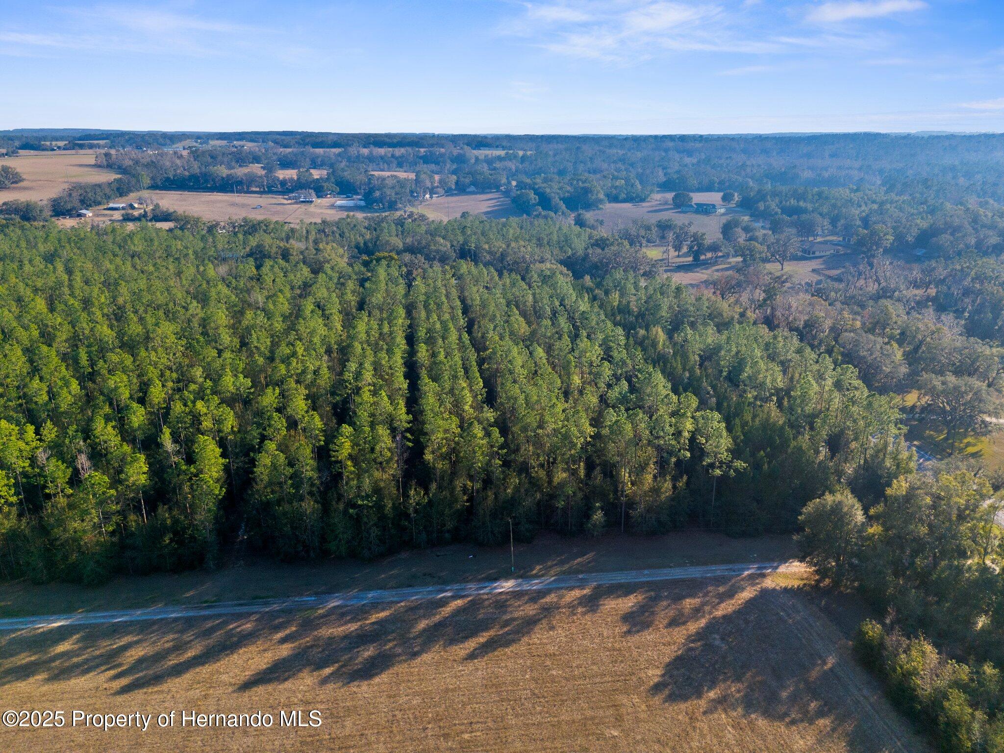 9999 Spring Lake Highway, Brooksville, Florida image 1